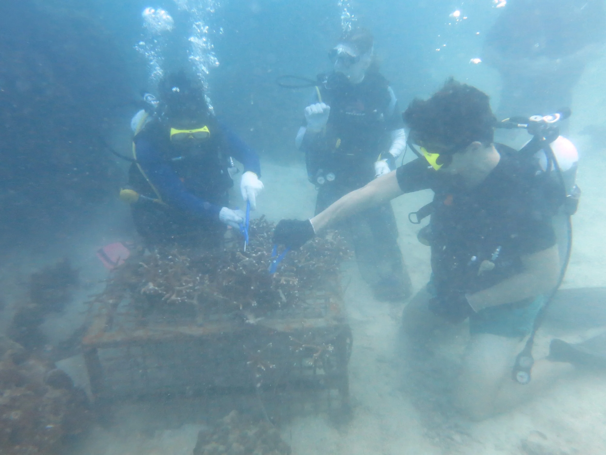 2016 BPS Satthahip Dive Trip with Marine Conservation Club (13).JPG