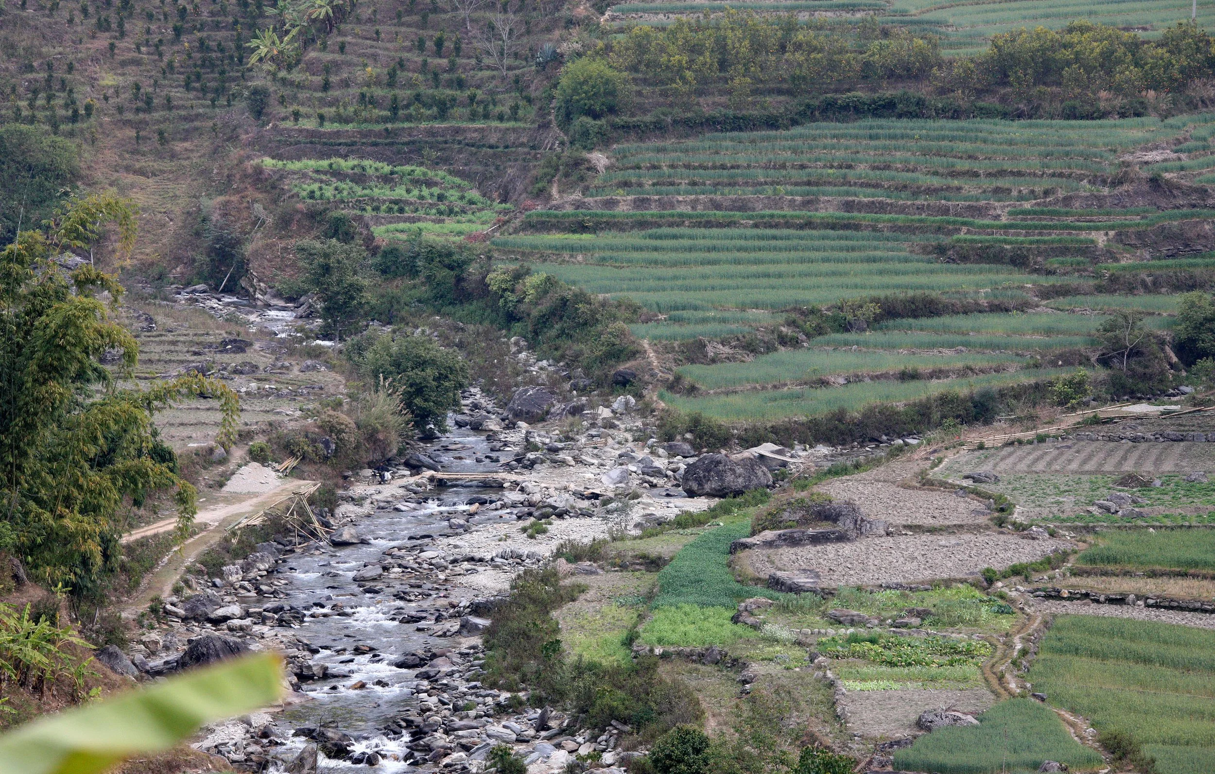 YUNNAN - WULIANGSHAN NATURE RESERVE AND SURROUNDING REGION (34).JPG