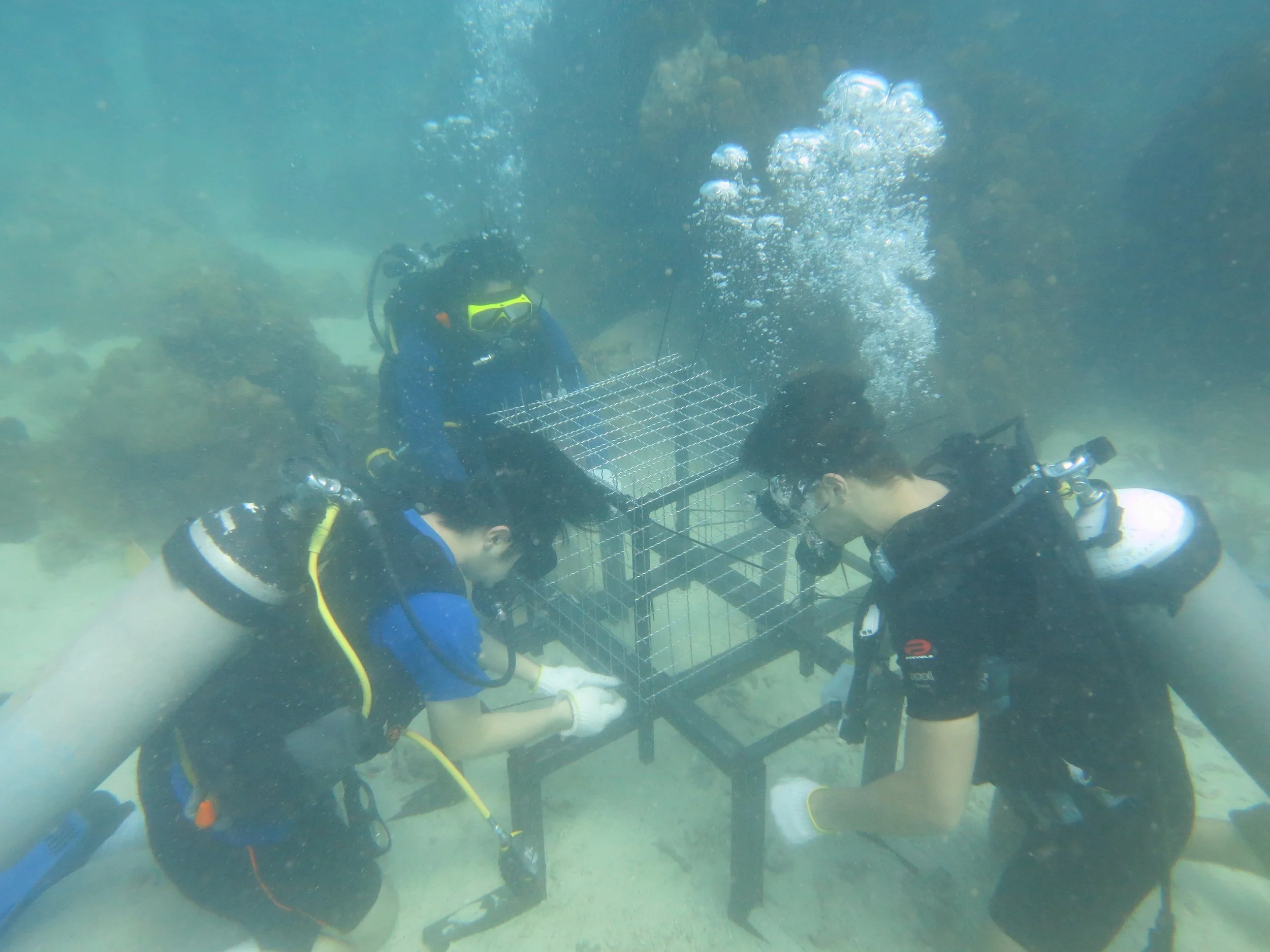 2016 BPS Satthahip Dive Trip with Marine Conservation Club (22).JPG