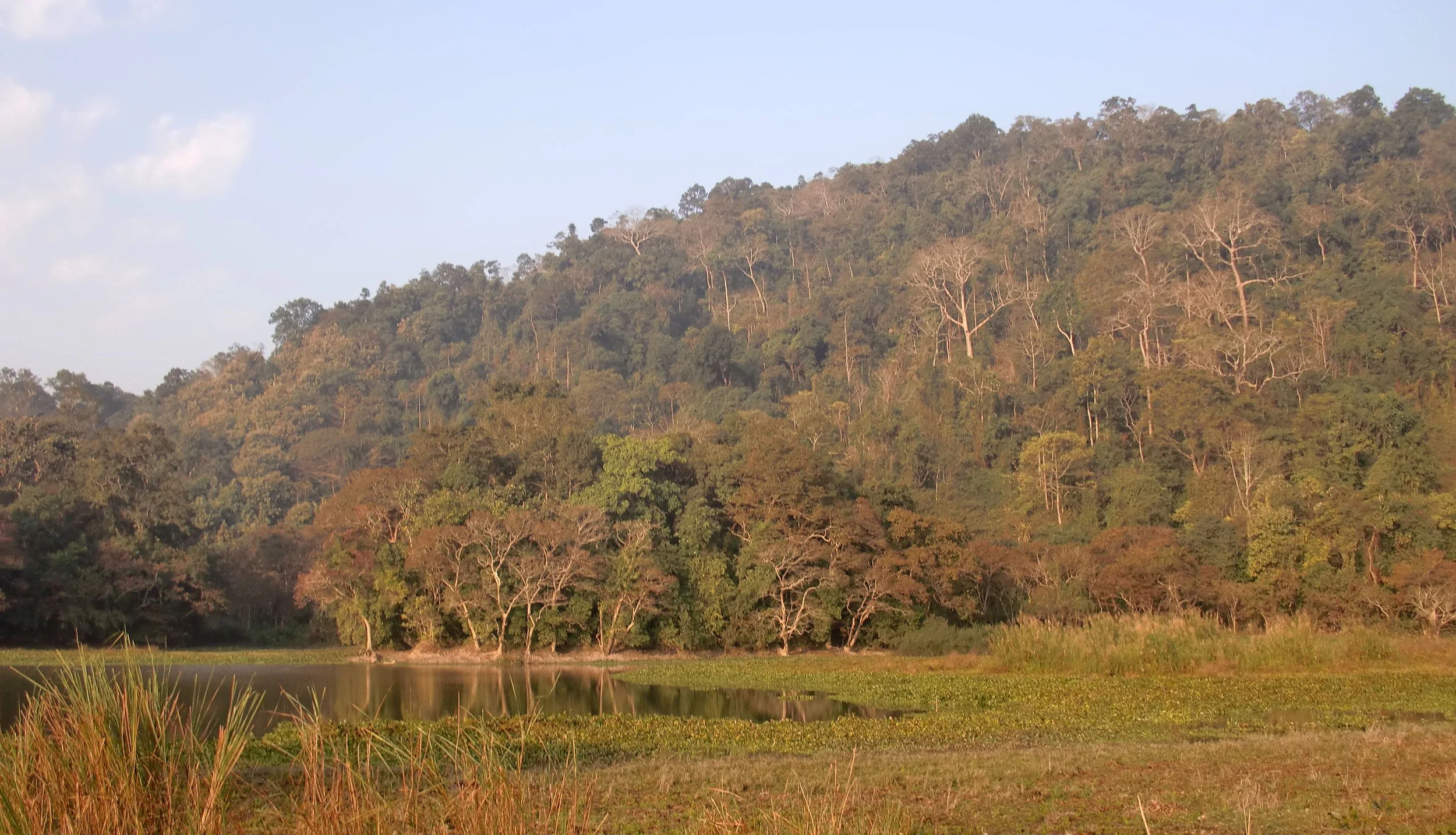 ASSAM - KAZIRANGA NATIONAL PARK INDIA (16).JPG