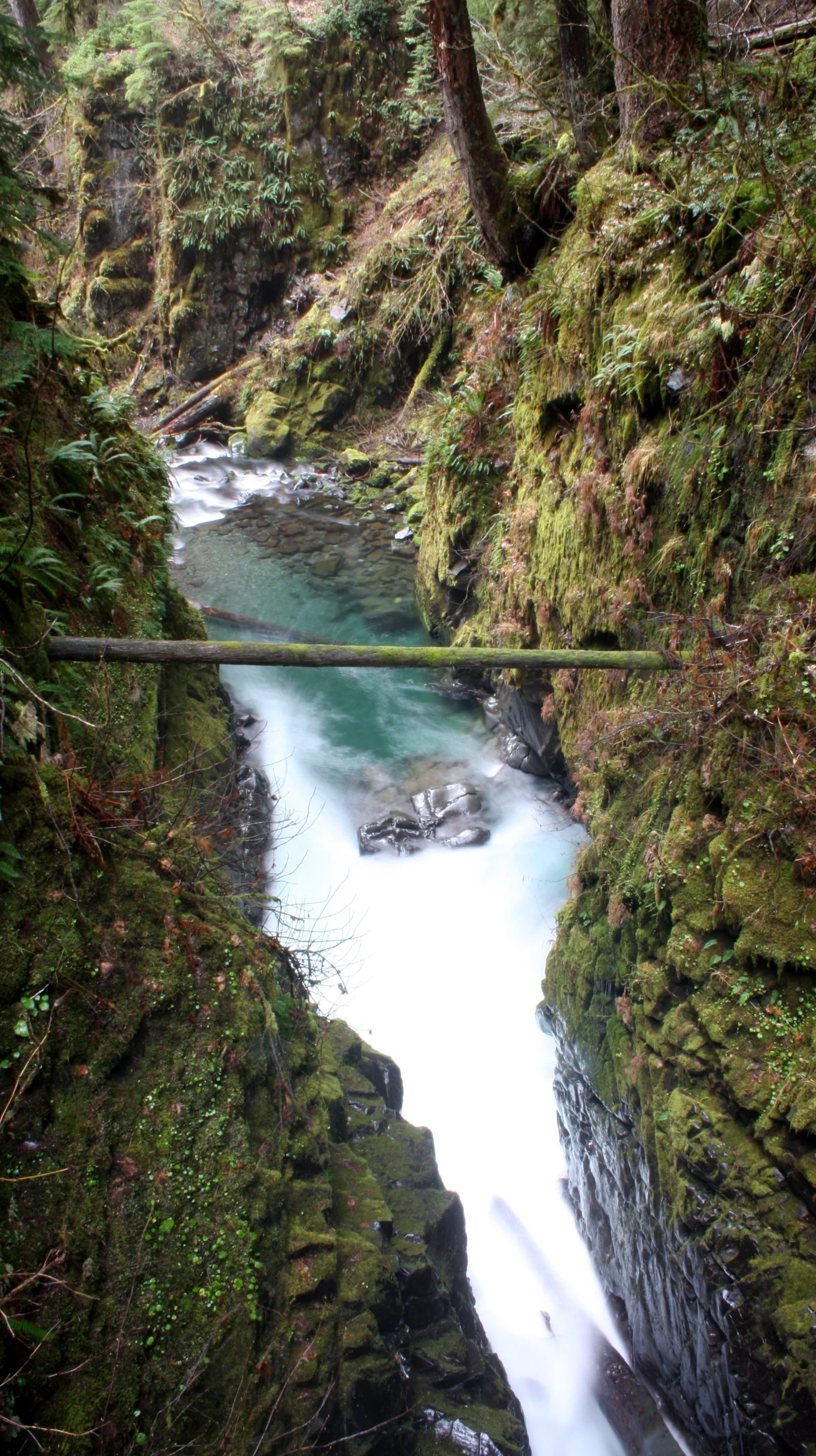 SOL DUC FALLS AND FOREST - ONP WA (64).JPG