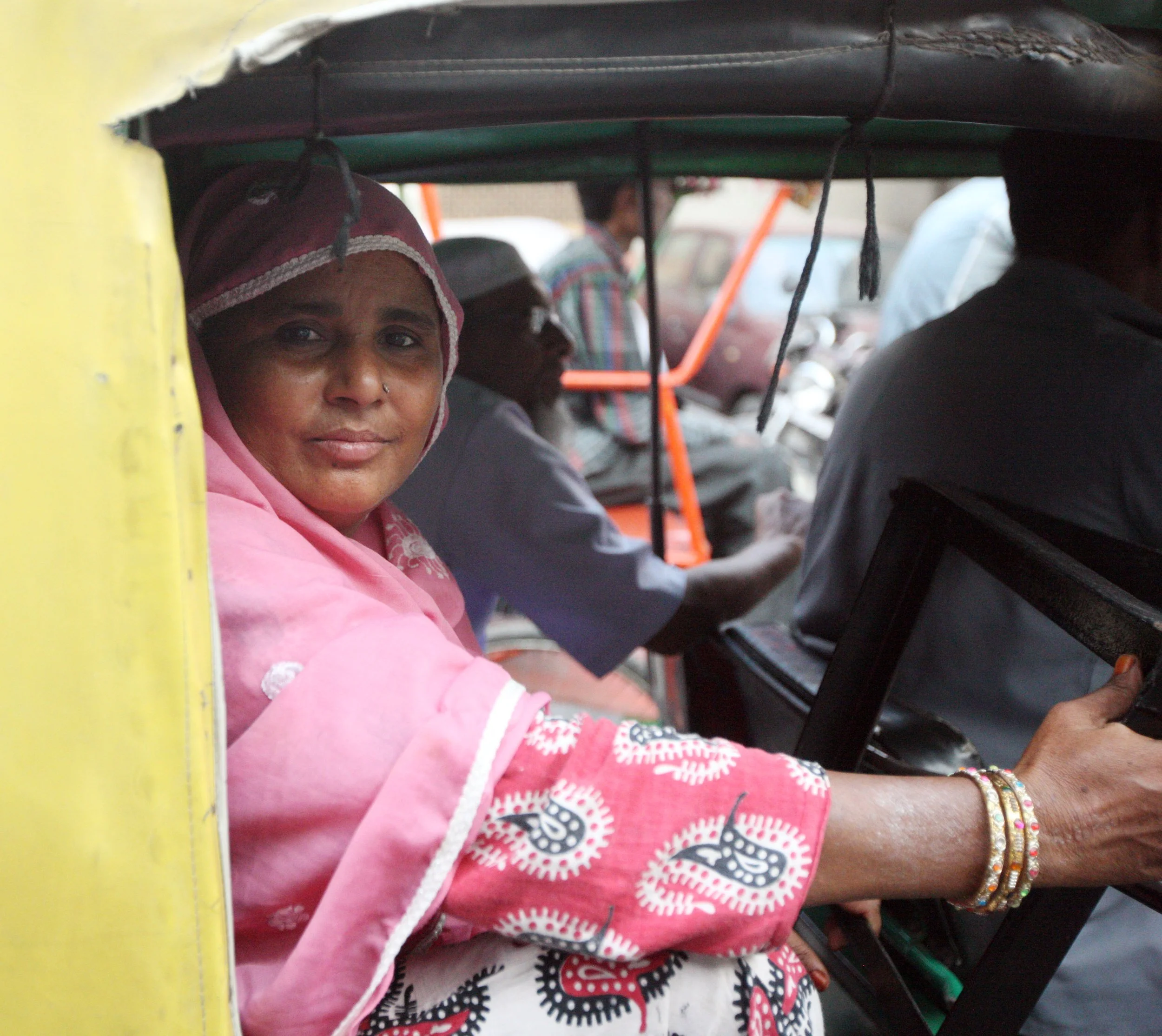 OLD DELHI INDIA - SNOW LEOPARD TRIP 2014 (72).JPG
