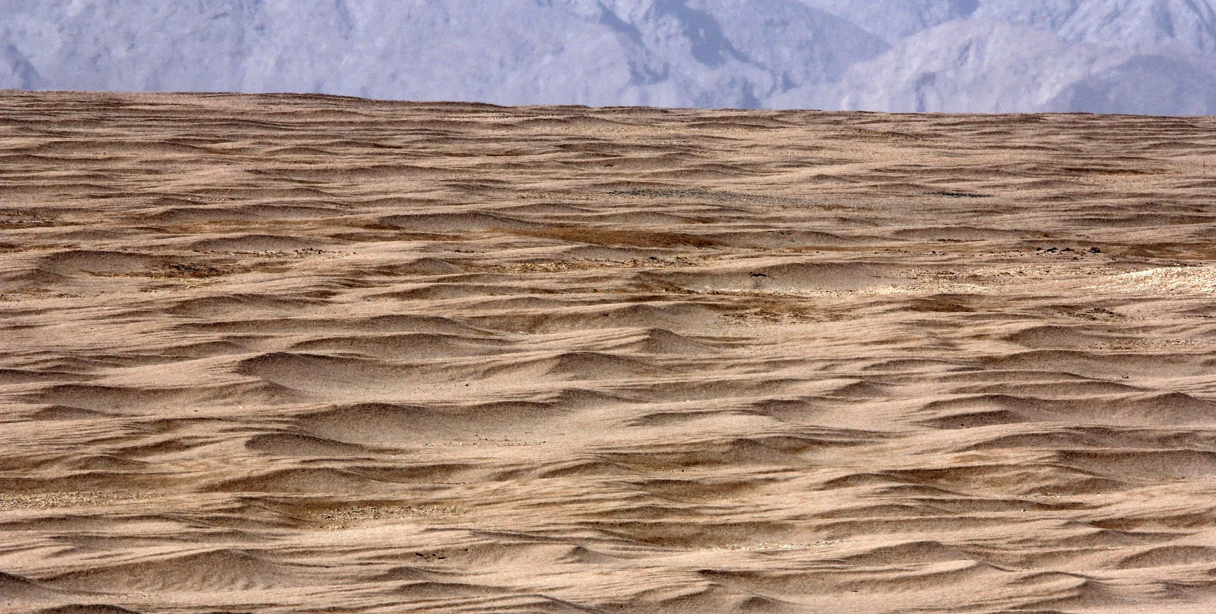 QINGHAI - ALTUN SHAN NATIONAL NATURE RESERVE - CHINA (9).JPG