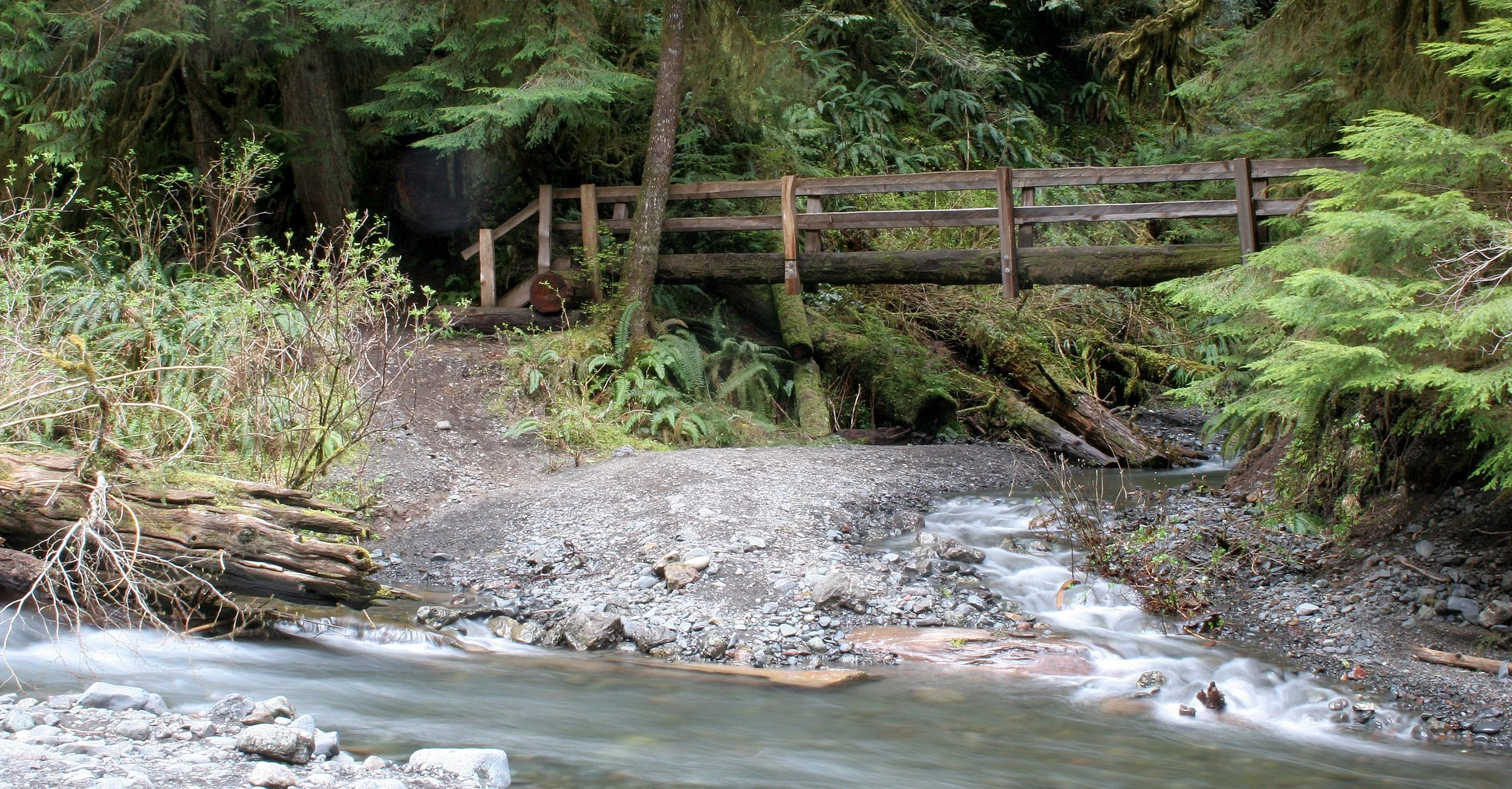 BARNES CREEK AND SURROUNDING FOREST (40).JPG