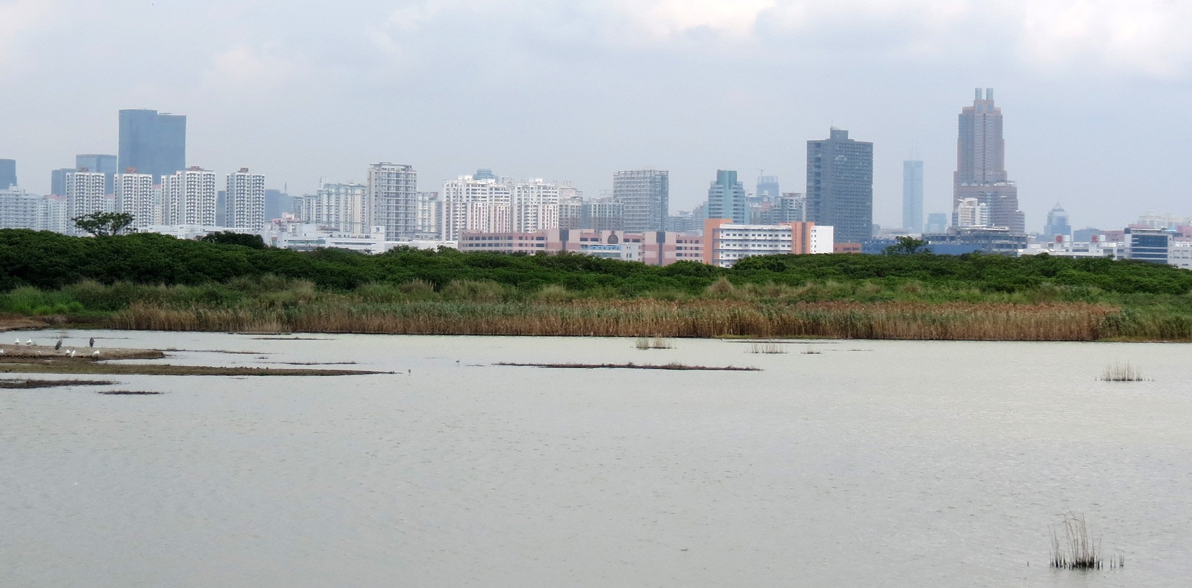 MAI PO WETLANDS HONG KONG (50).JPG
