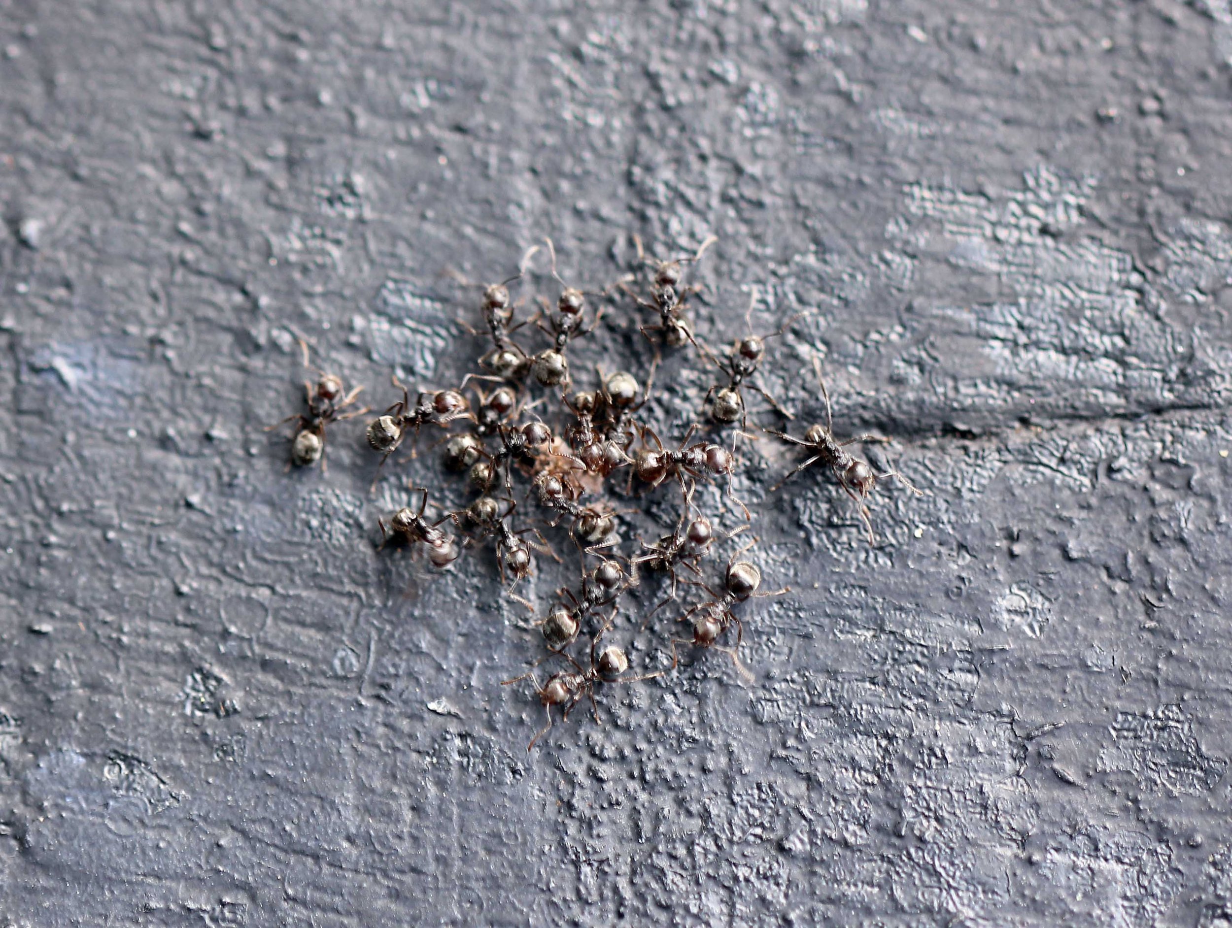 2015 Koh Lanta Songkran with friends from ISB (462).JPG