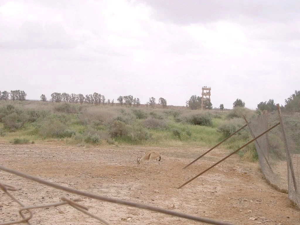 SHAUMARI CAPTIVE BREEDING CENTER (3).JPG