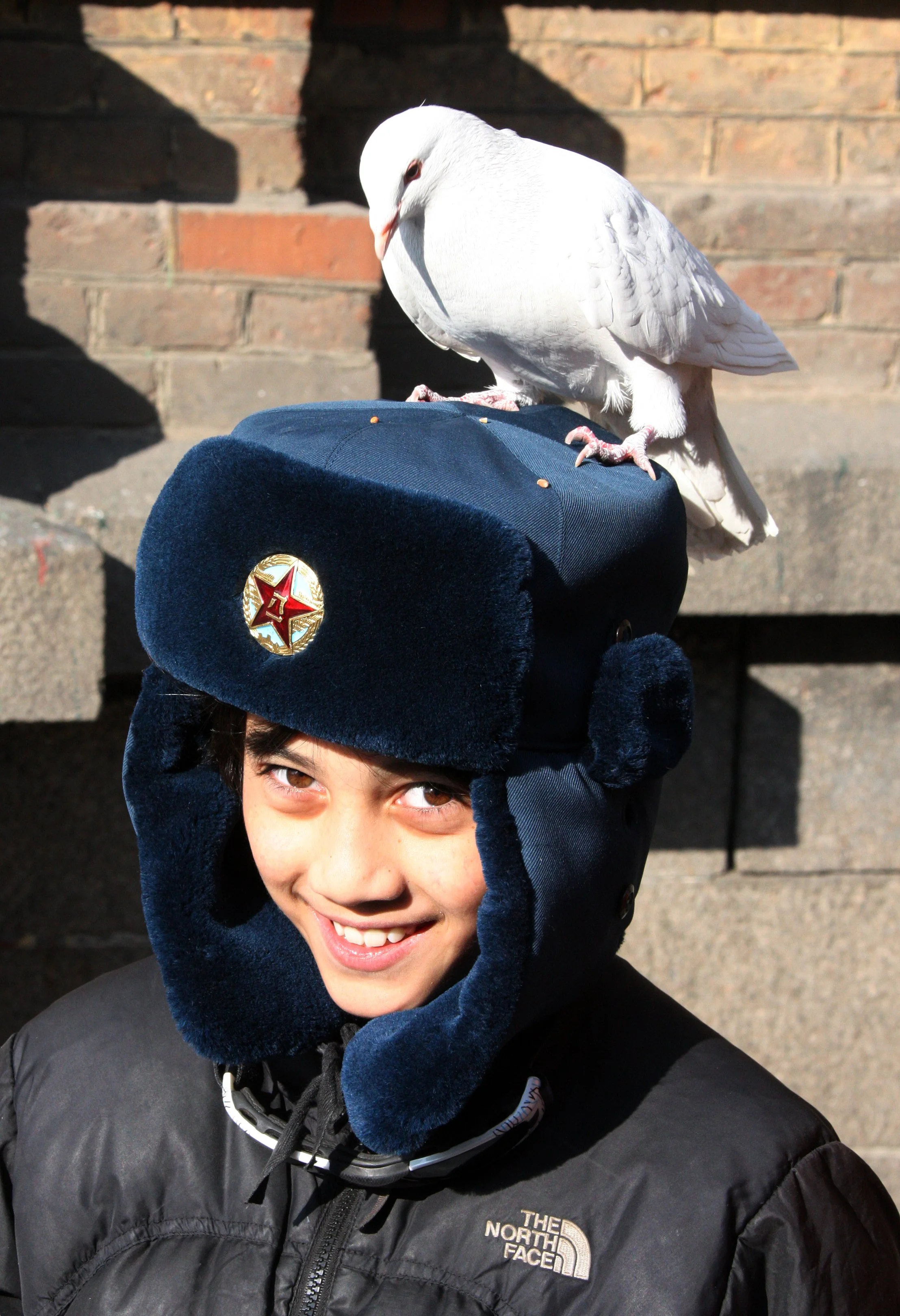 BIRD - PIGEON - HARBIN SAINT SOPHIA'S CATHEDRAL CHINA (73).JPG