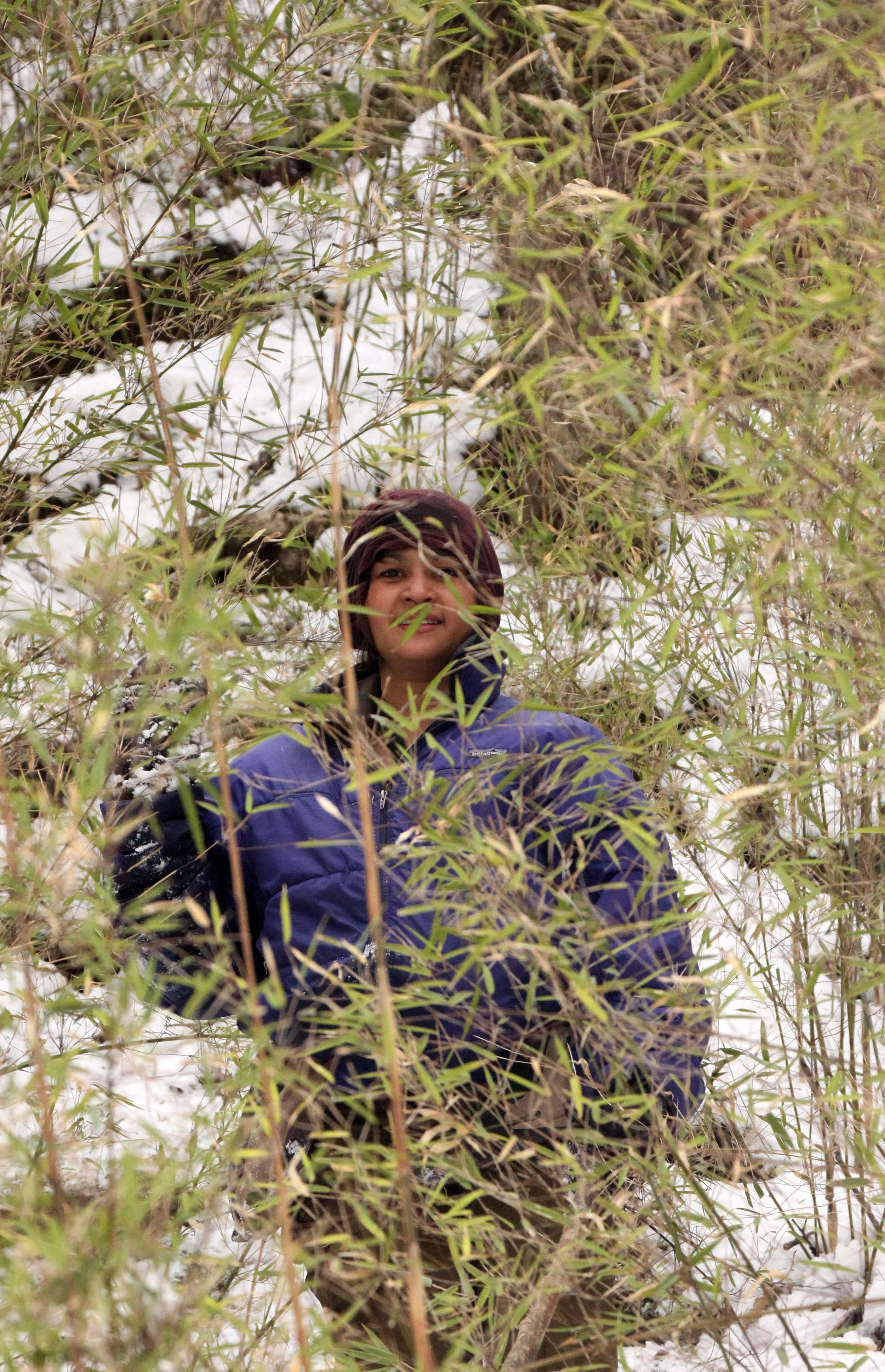 FOPING NATURE RESERVE - SHAANXI PROVINCE CHINA (141).JPG