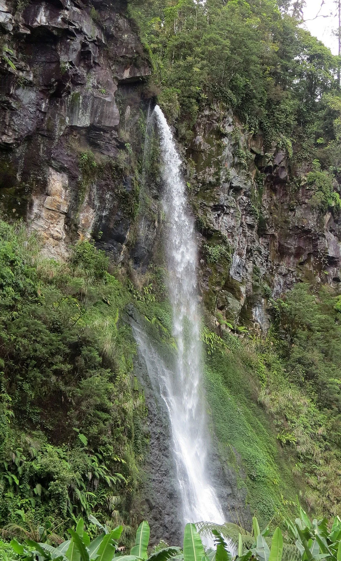 GEDE NATIONAL PARK - JAVA BARAT INDONESIA (10).JPG