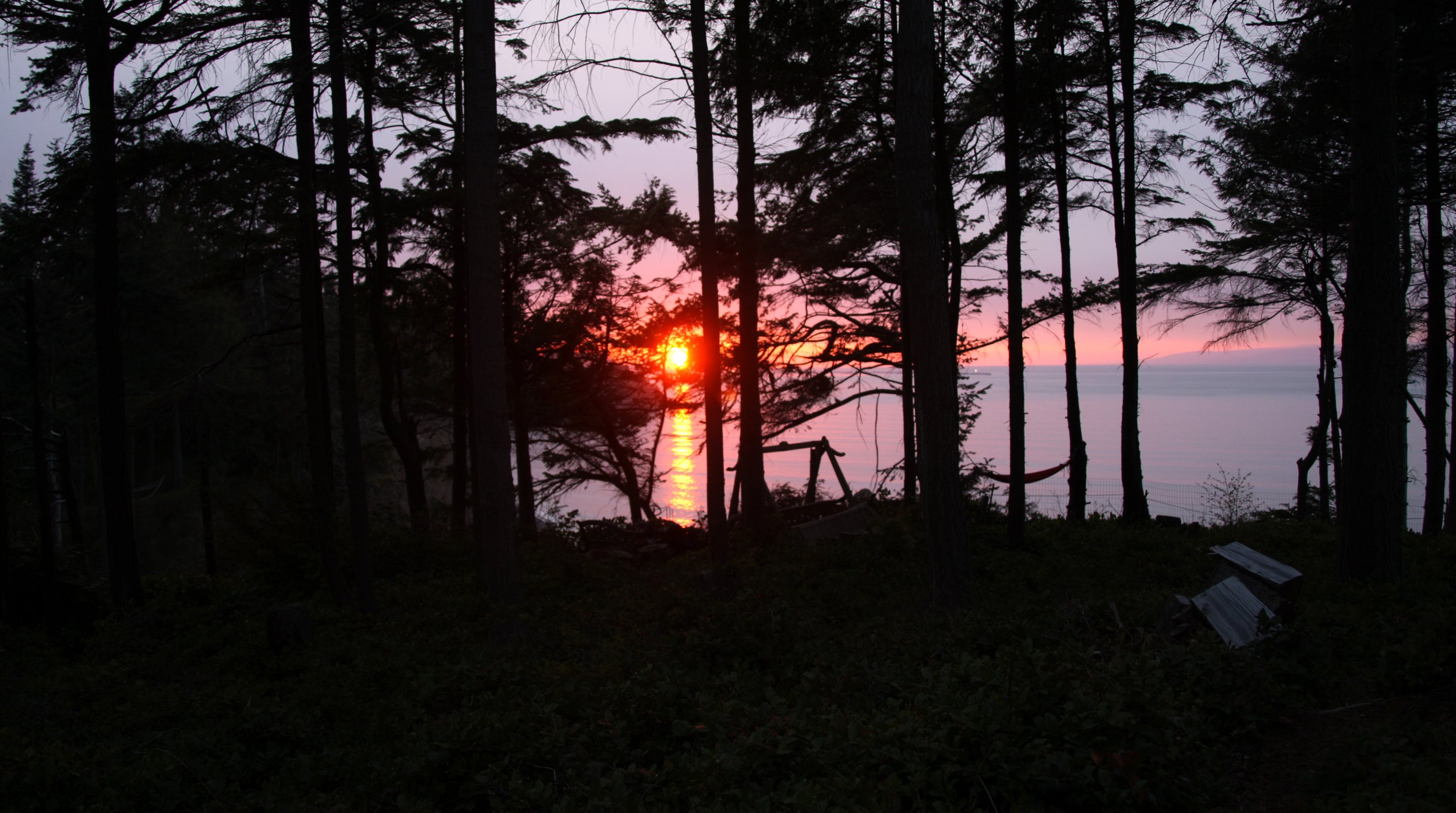 LAKE FARM - SUNSETS IN APRIL 2010 (4).JPG