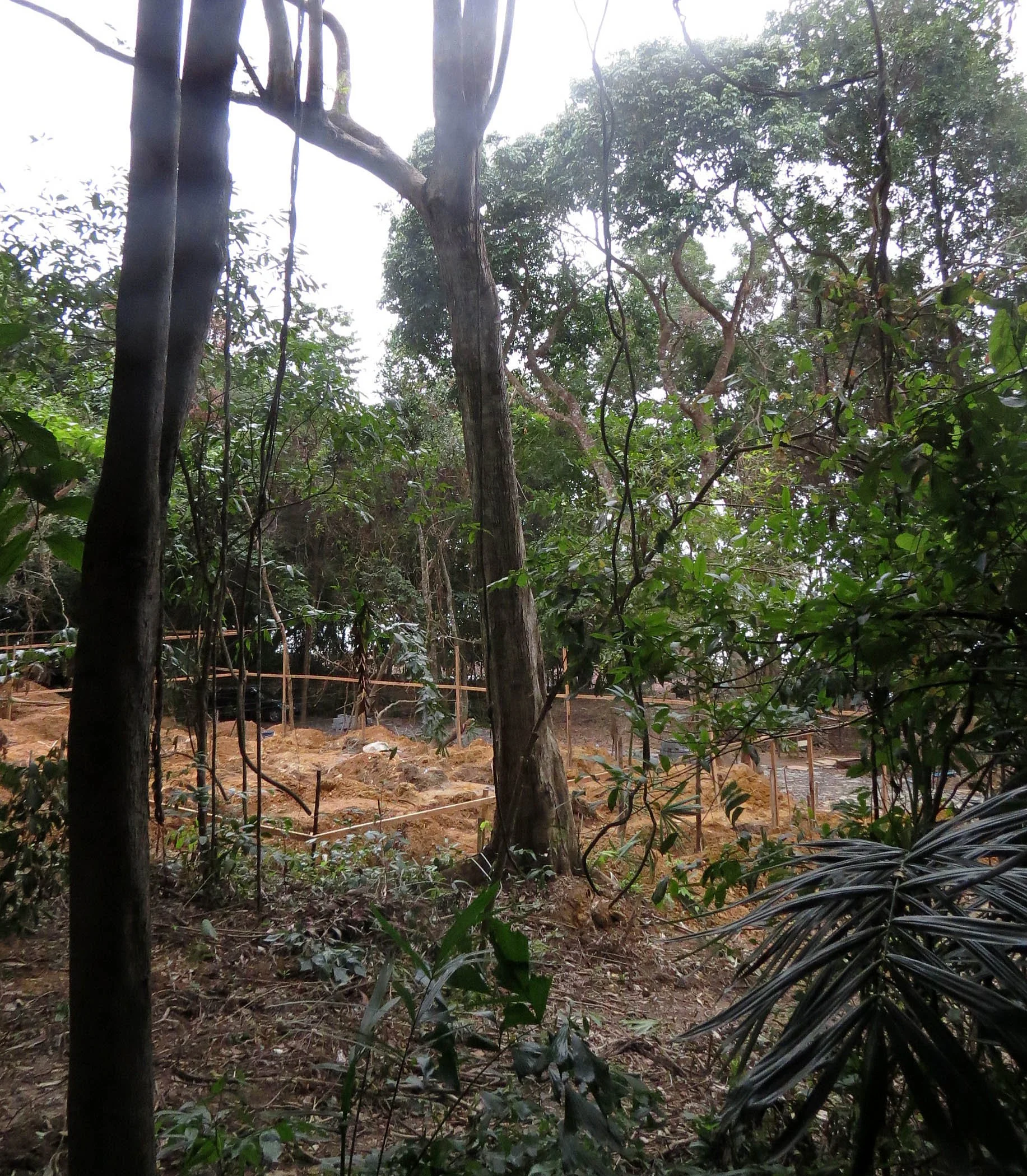 2014 Koh Lanta Build (145).JPG