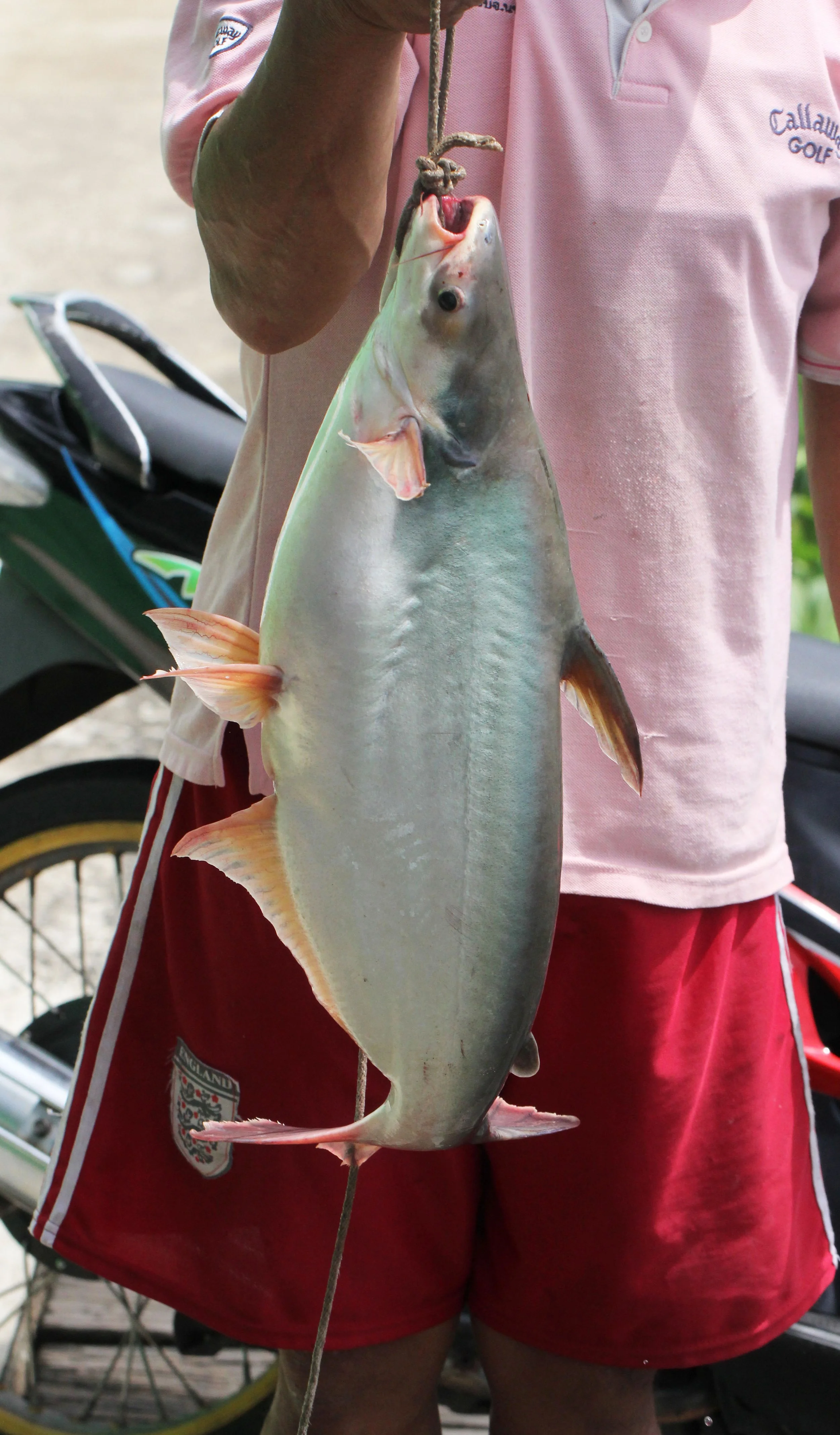 2014 Koh Kret Nonthaburi Bike Ride (138).JPG