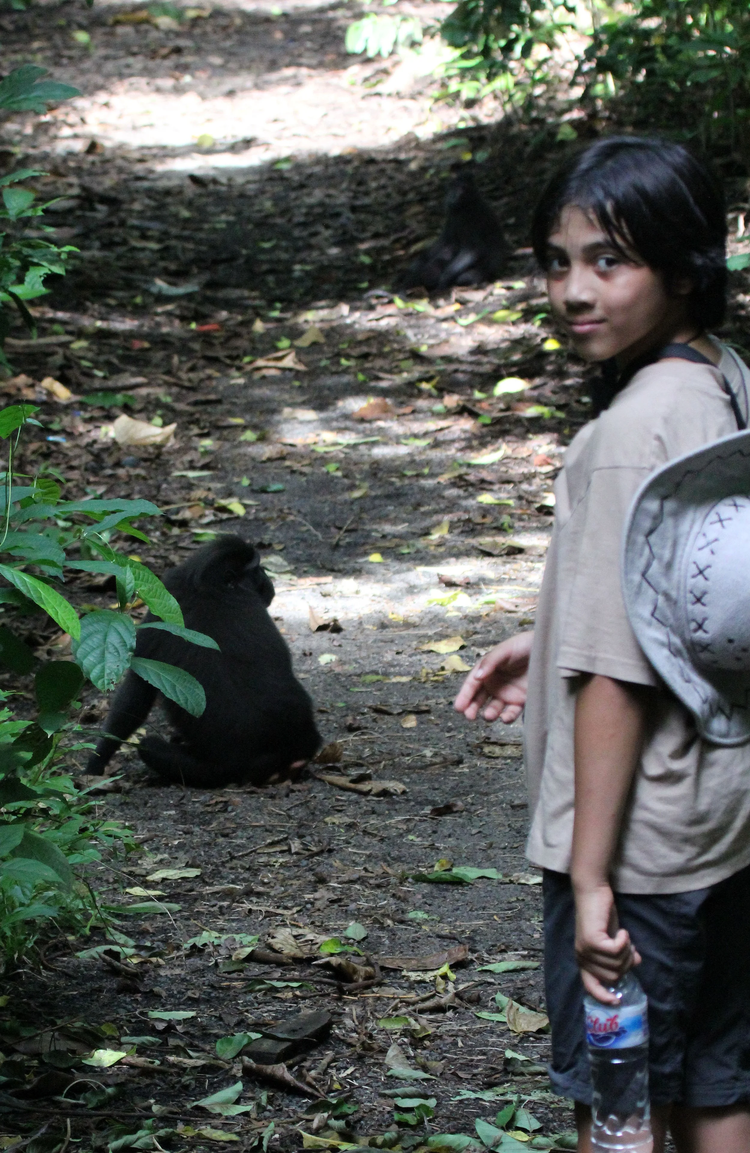 TANGKOKO NATIONAL PARK SULAWESI INDONESIA (22).JPG