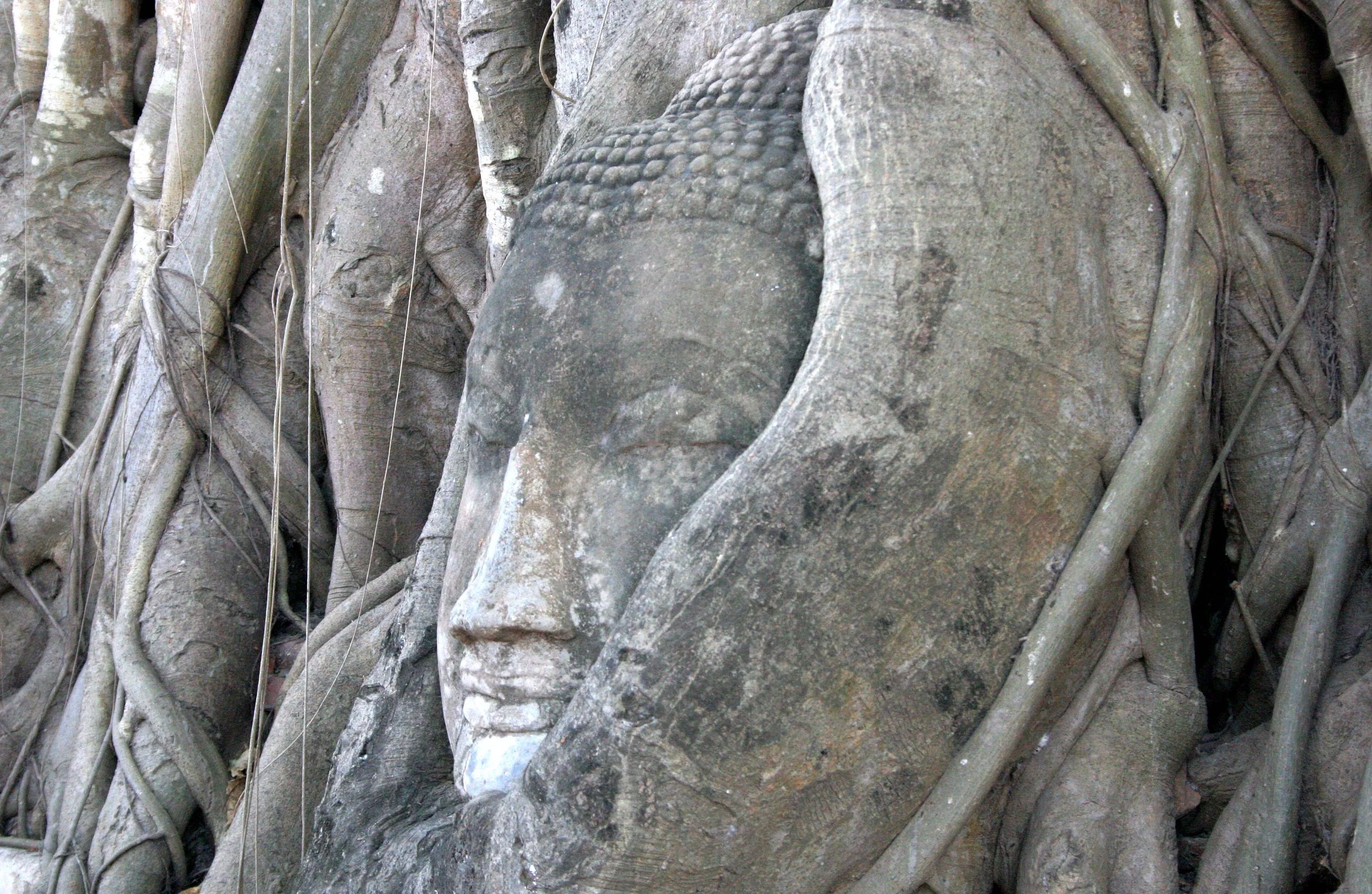 AYUDTHAYA - CHRISTMAS TRIP 2008 (28).JPG