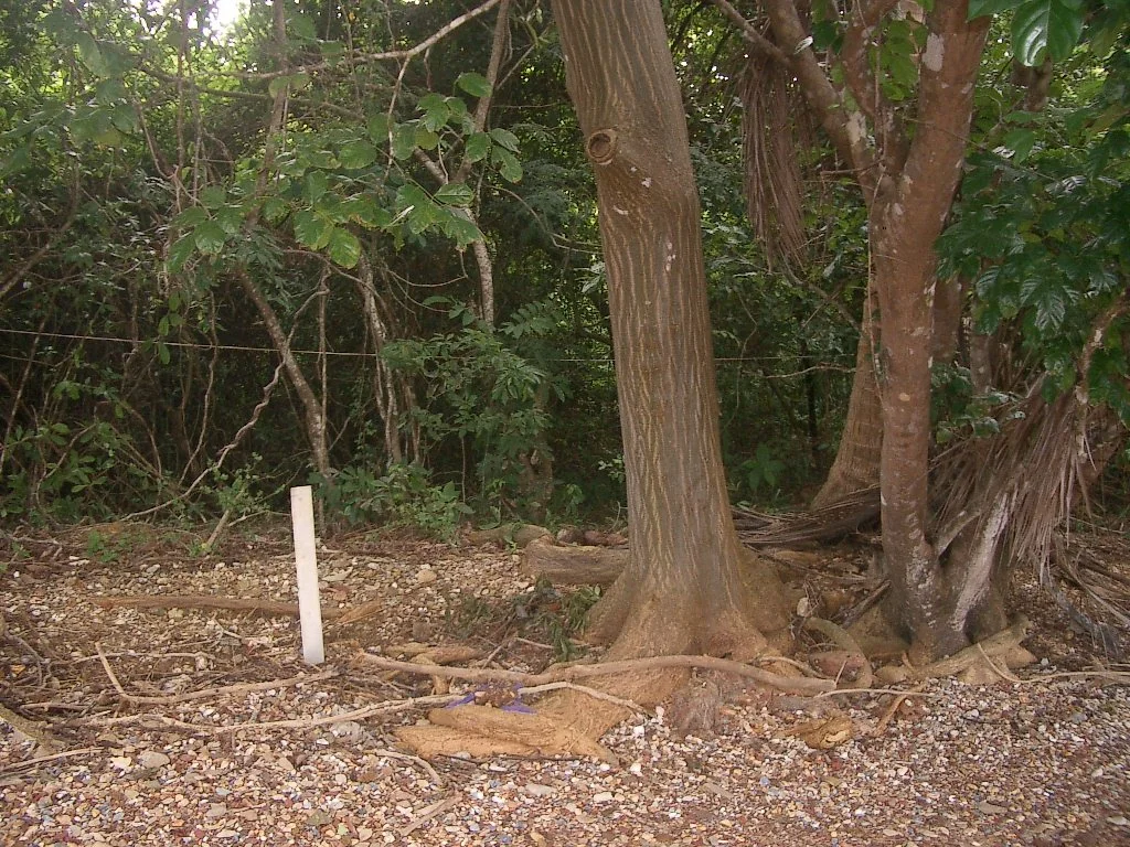 KOH LANTA - PROPERTY - 2004 (32).JPG