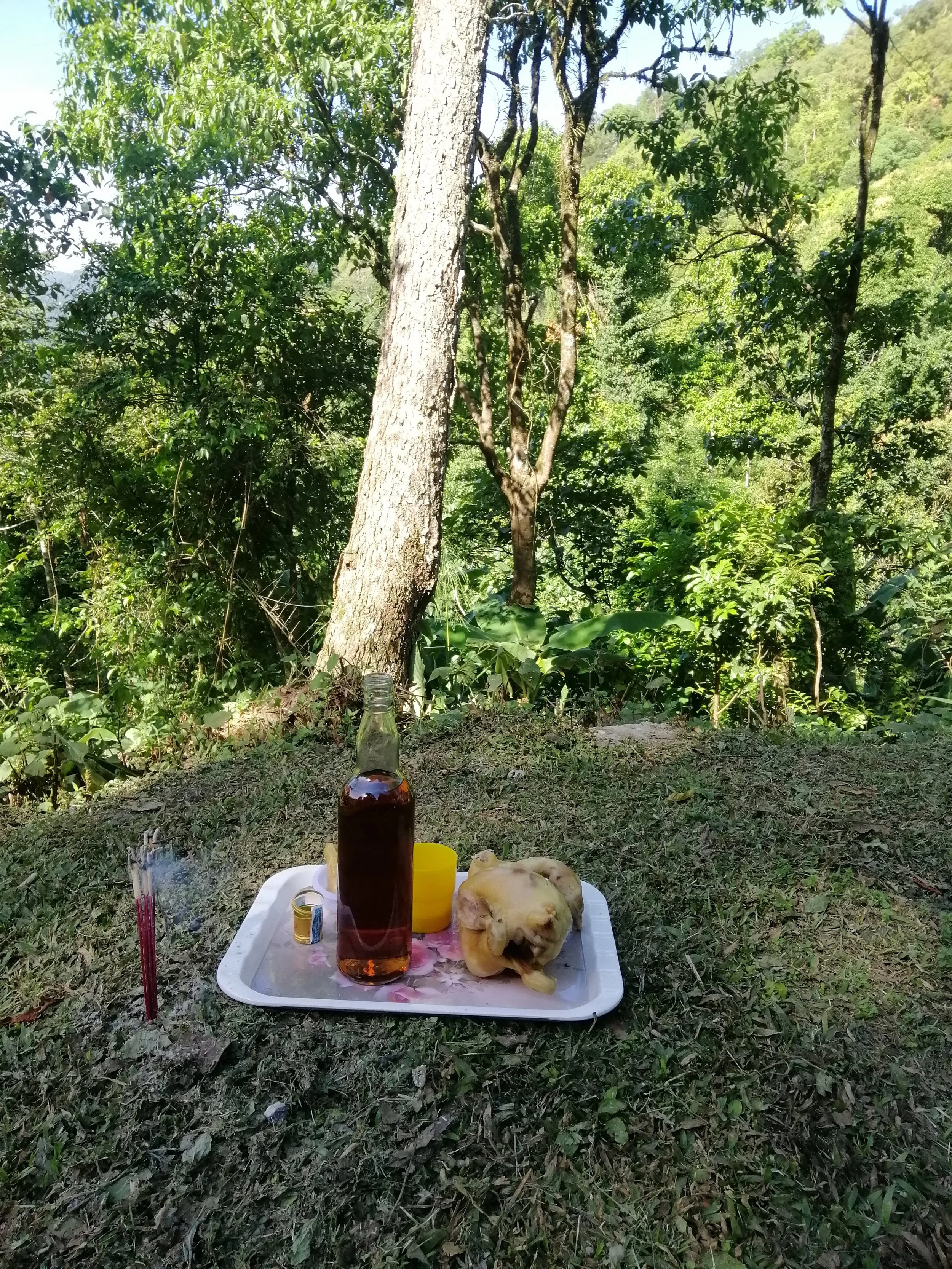 An offering to the memory of Seub