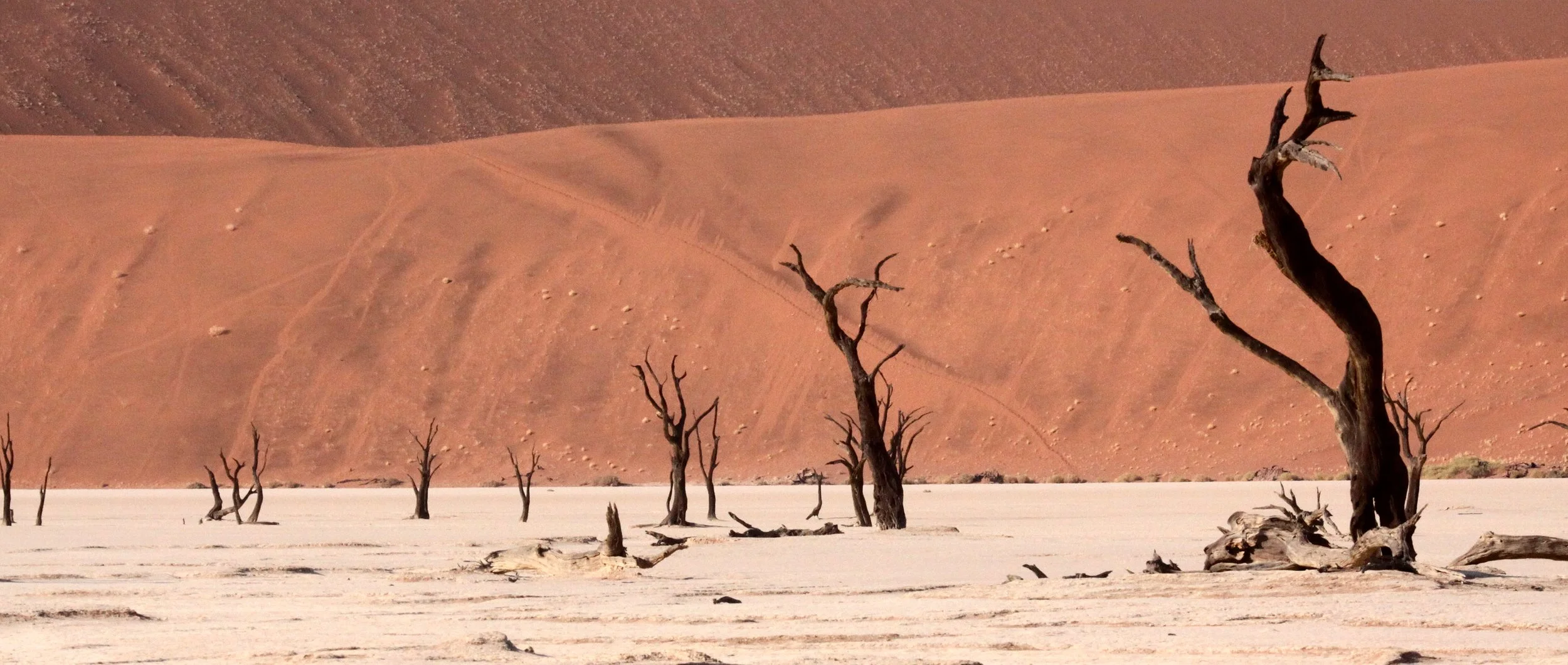 SOSSUSVLEI, NAMIB NAUKLUFT NATIONAL PARK, NAMIBIA - DEAD VLEI (15).JPG