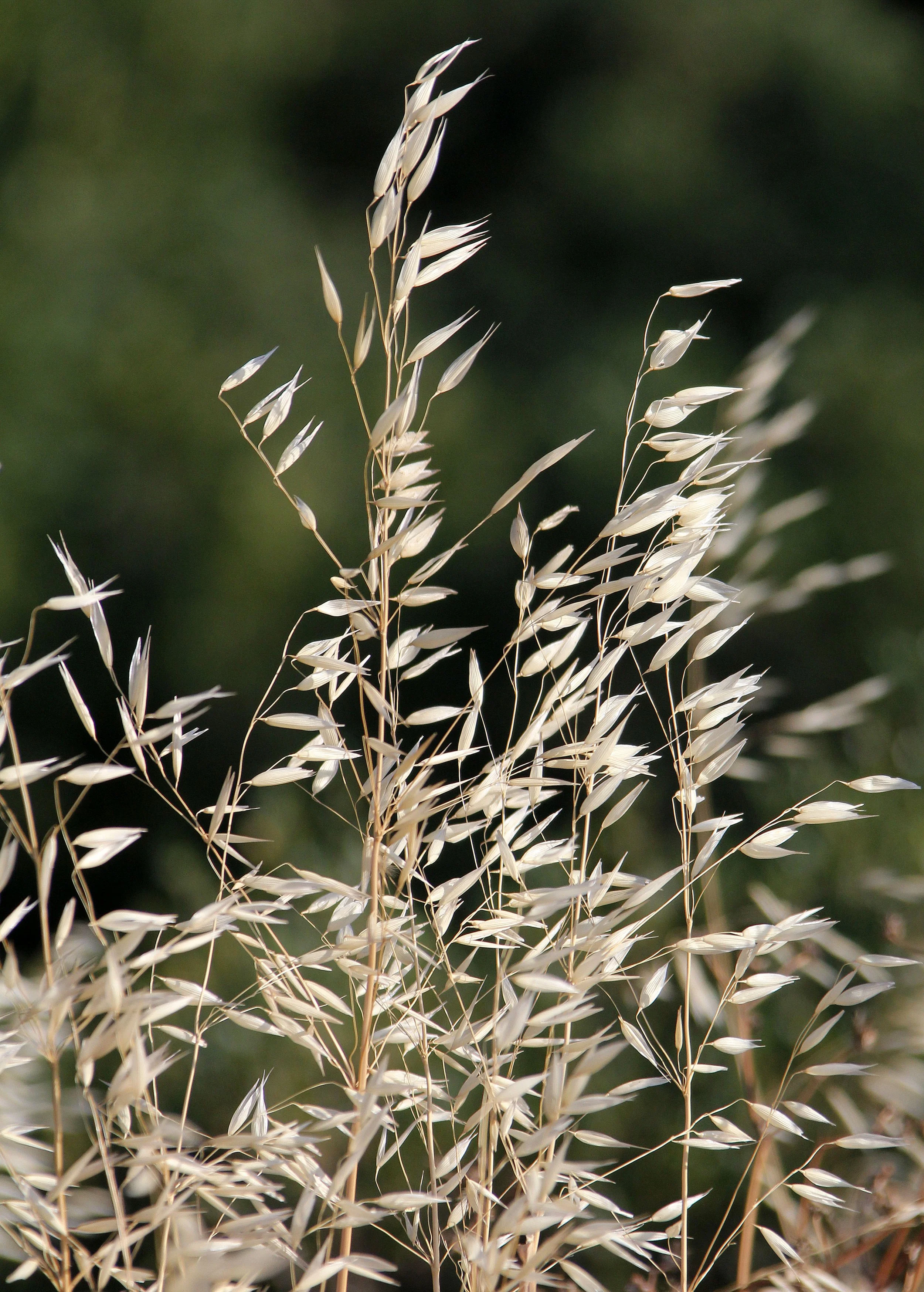 METEORA GREECE - JUNE 2013 (87).JPG