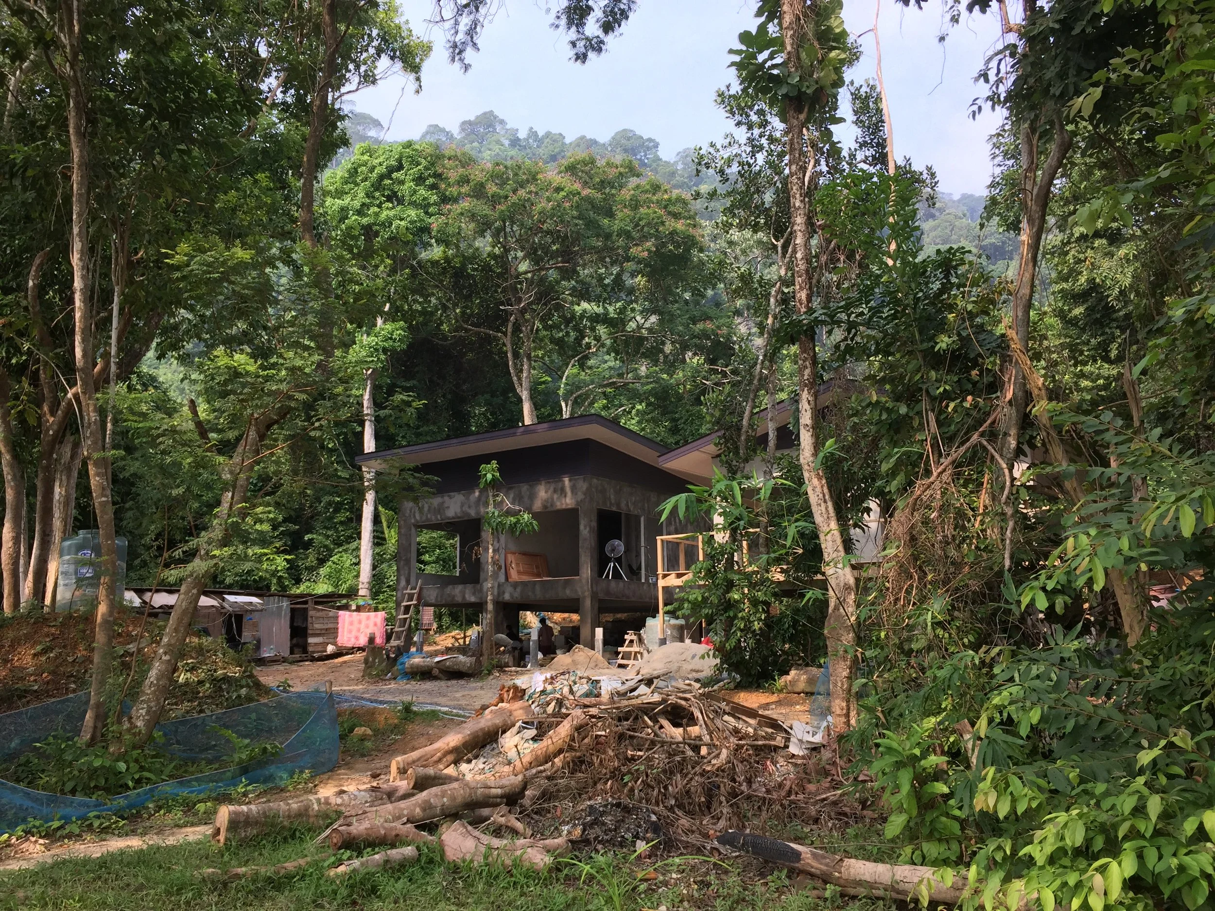 2015 Koh Lanta Garden & Nature (166).JPG