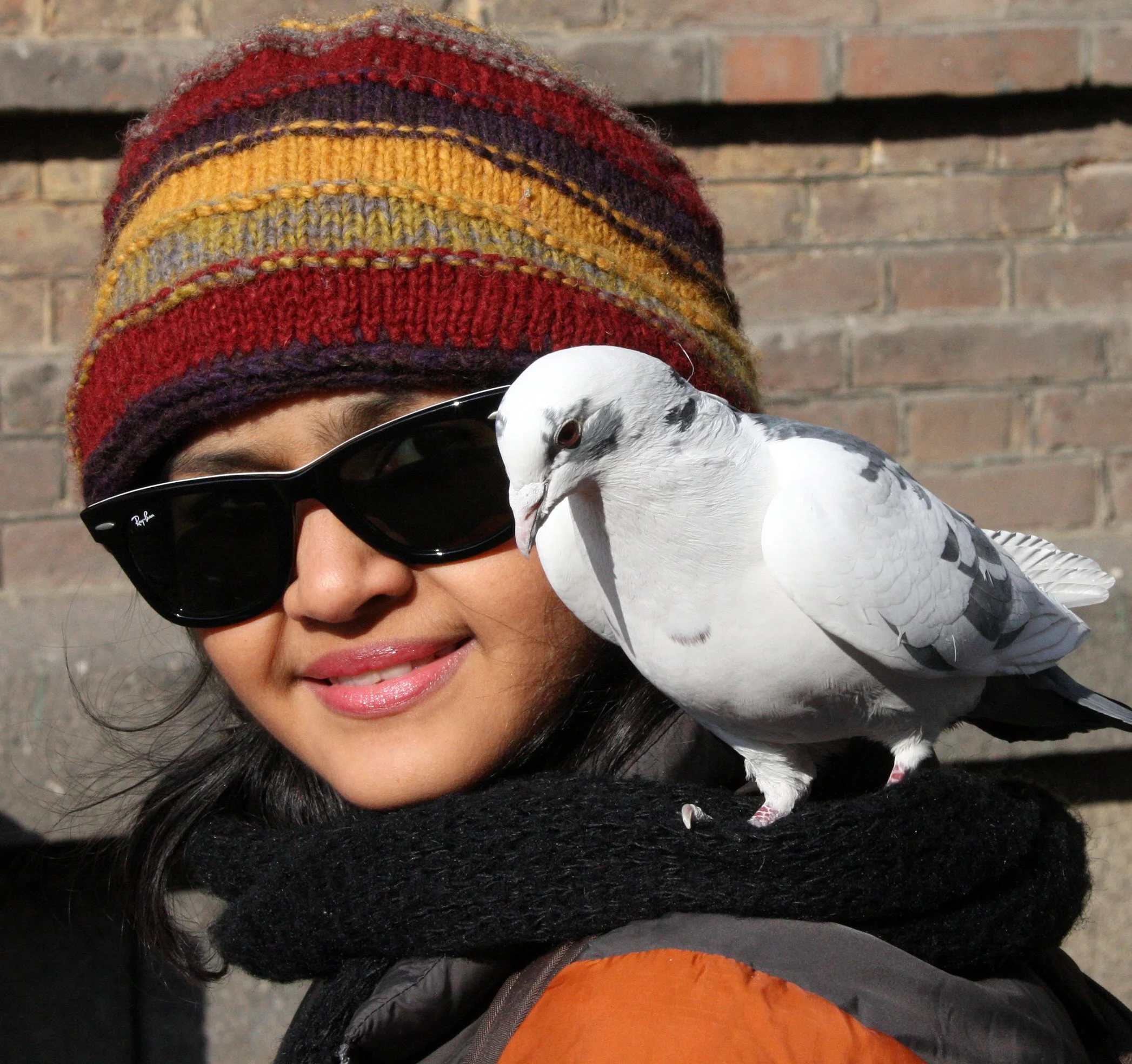 BIRD - PIGEON - HARBIN SAINT SOPHIA'S CATHEDRAL CHINA (54).JPG