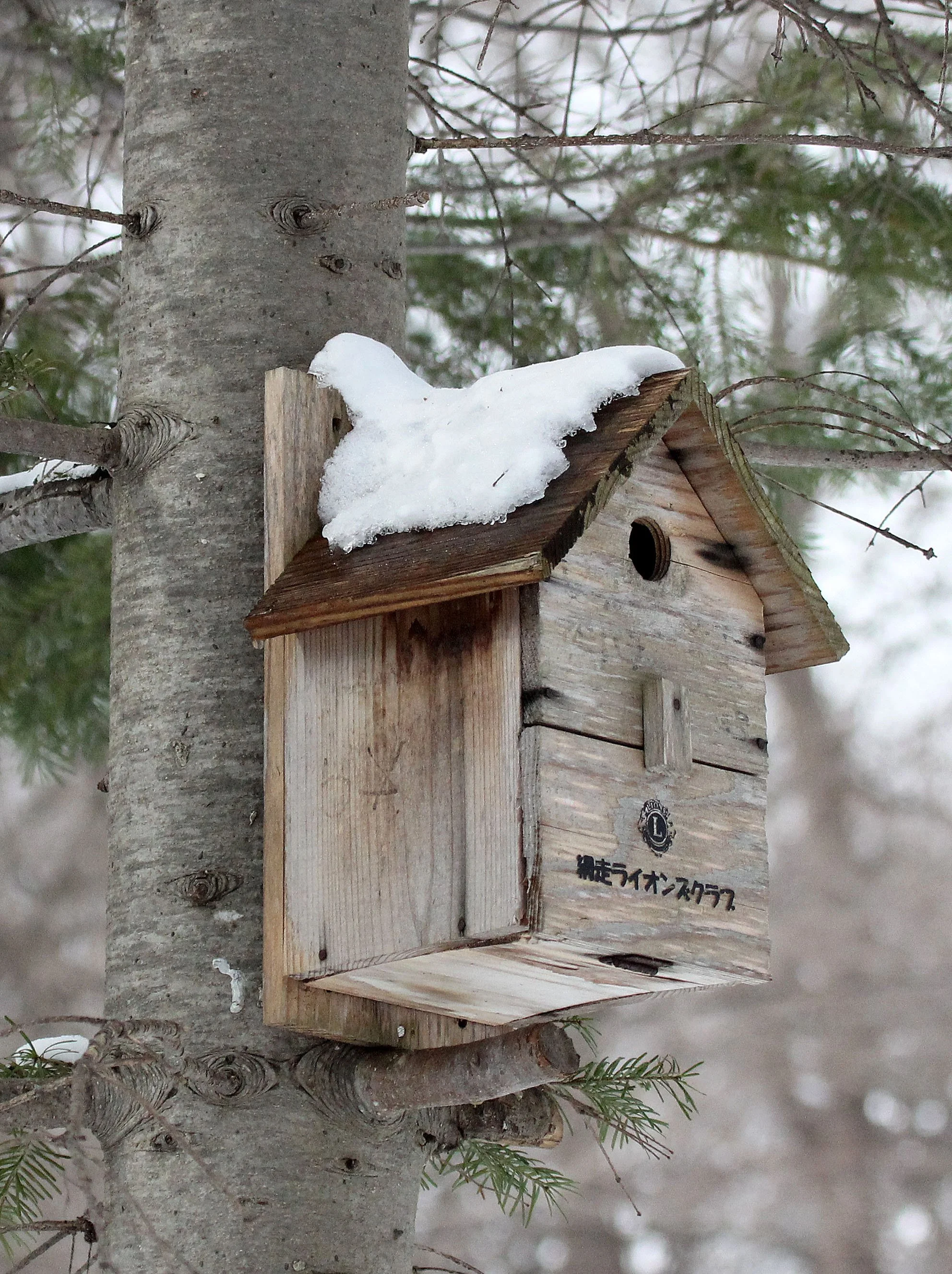 KINOHIROBA PARK - ABASHIRI - HOKKAIDO JAPAN (22).JPG