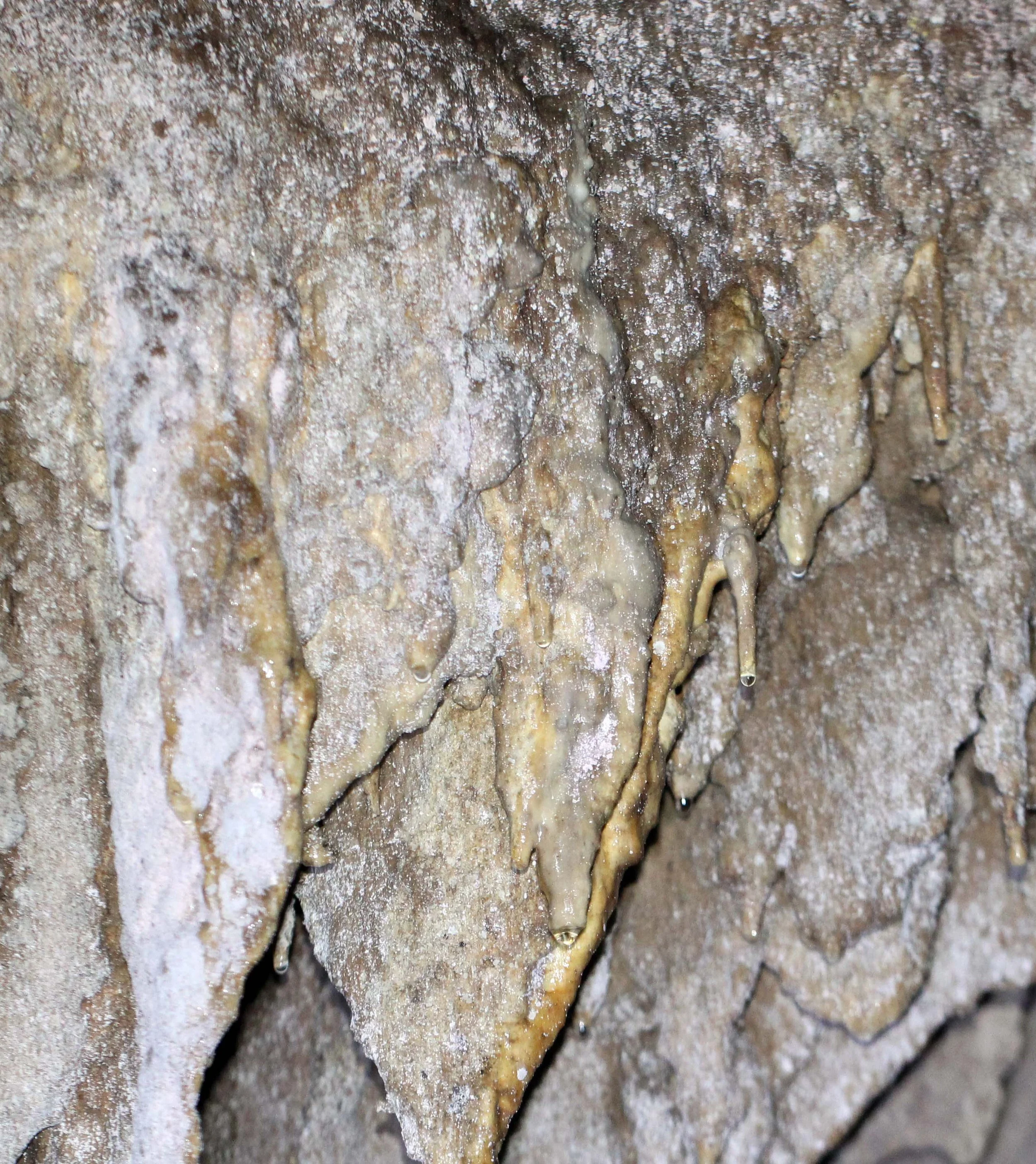2014 Namthalu Cave Khao Sok National Park Surat Thani (32).JPG