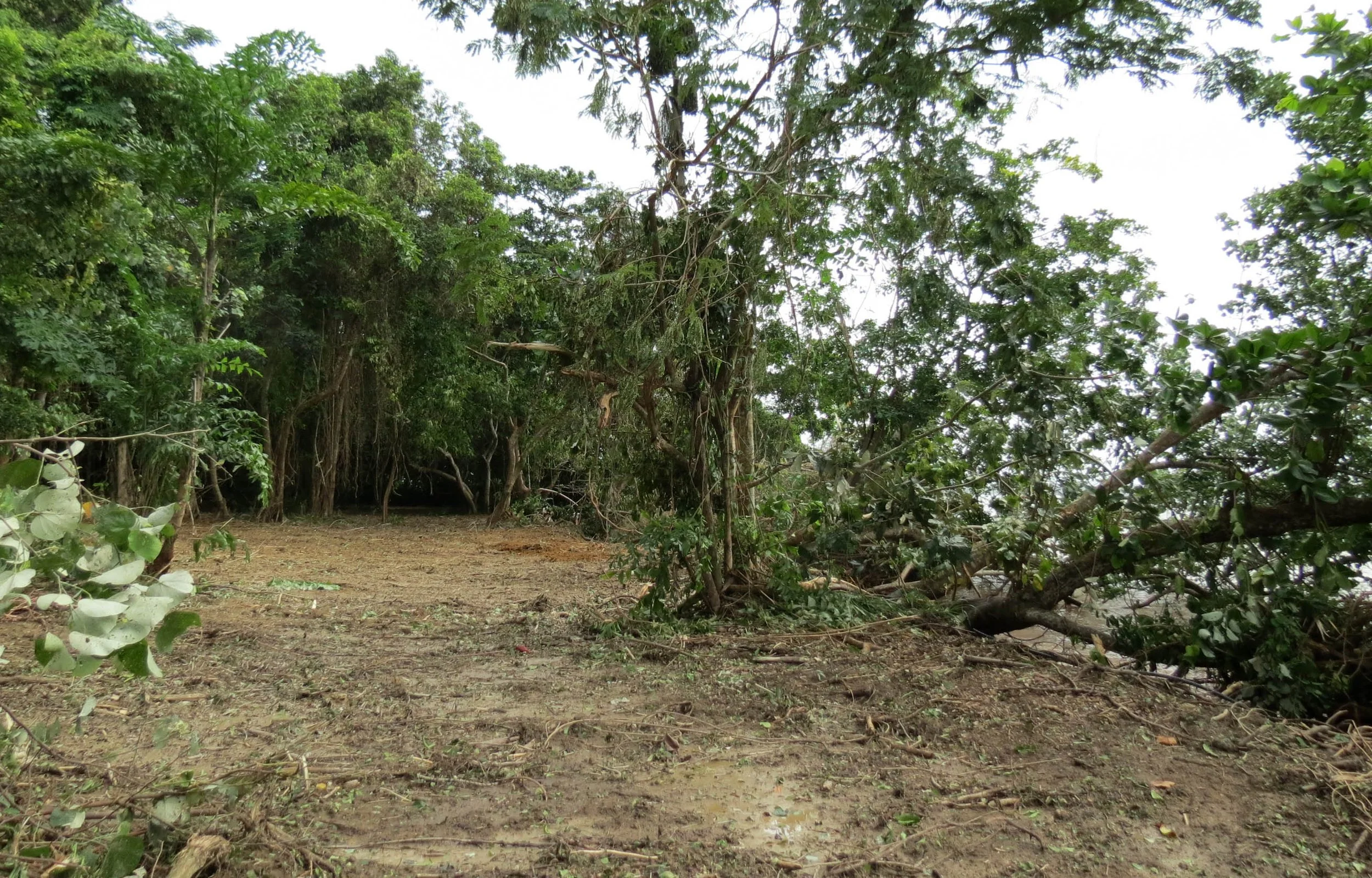 2014 Koh Lanta Build (28).JPG