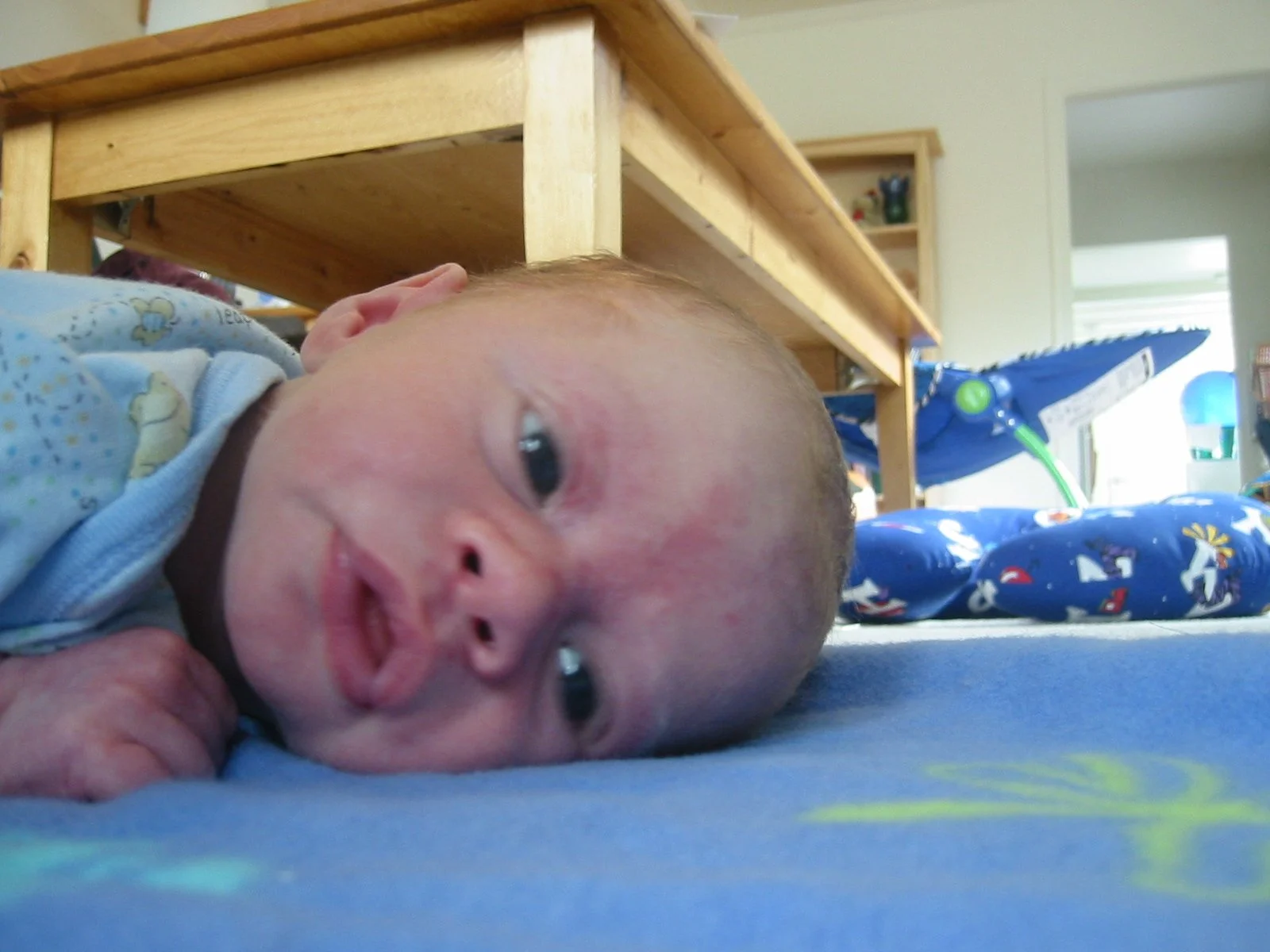 2003-4-1 SPRING TRIP TO SACRAMENTO (108).JPG