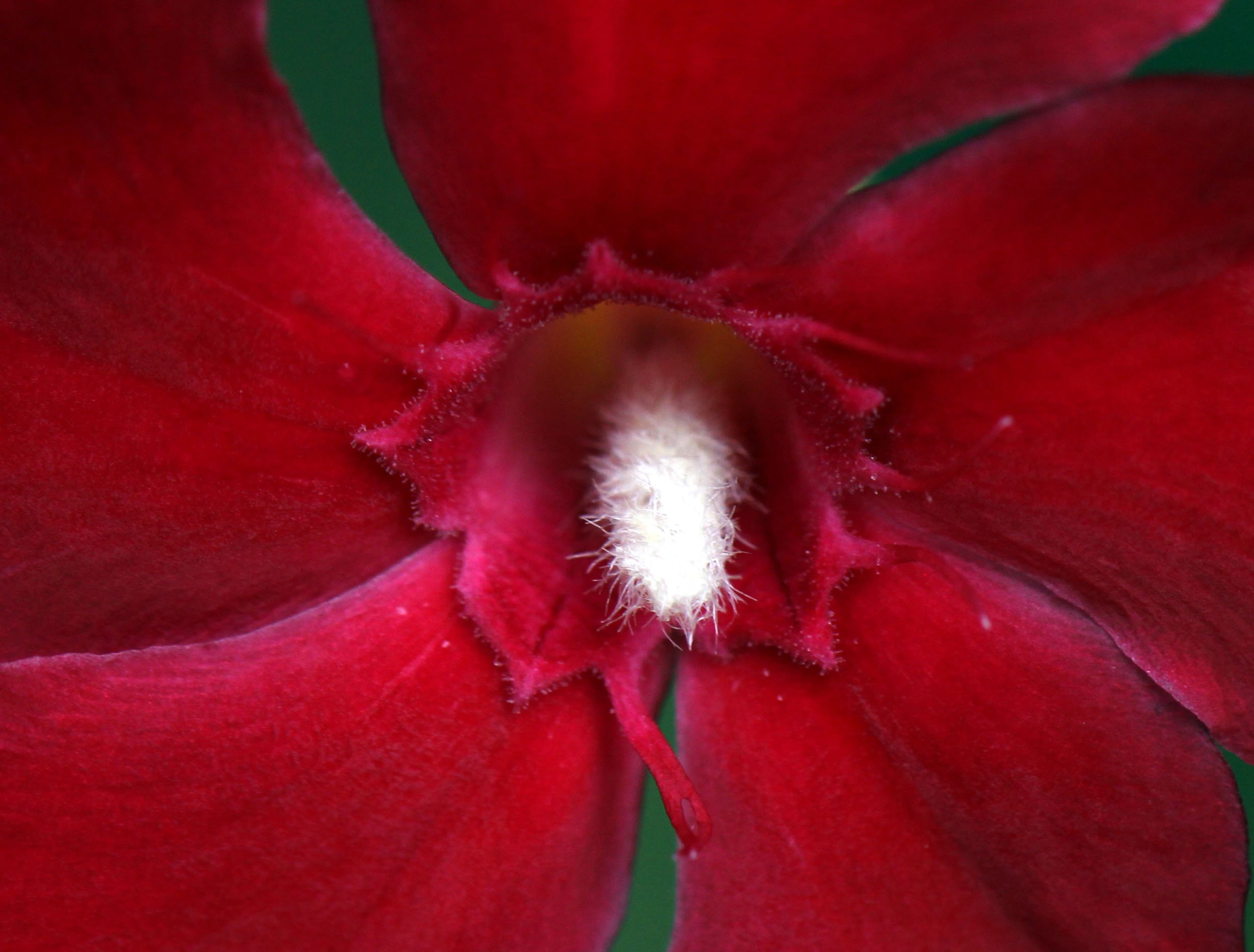 2013 Cha'am and Petchaburi with Family & Friends (23).JPG