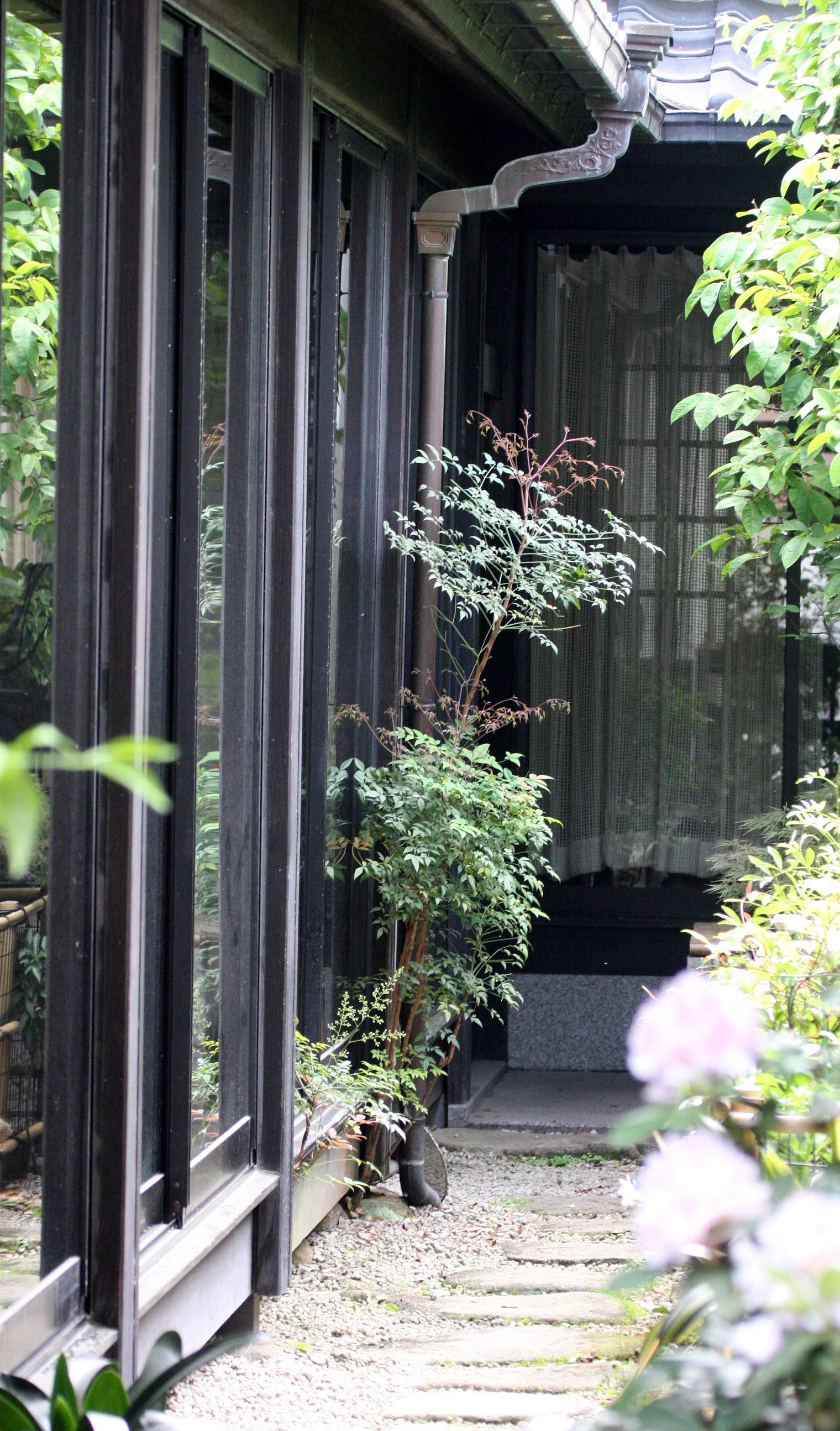 MIYAJIMA - MAY 2009 - SCENES AND LANDSCAPES (4).JPG