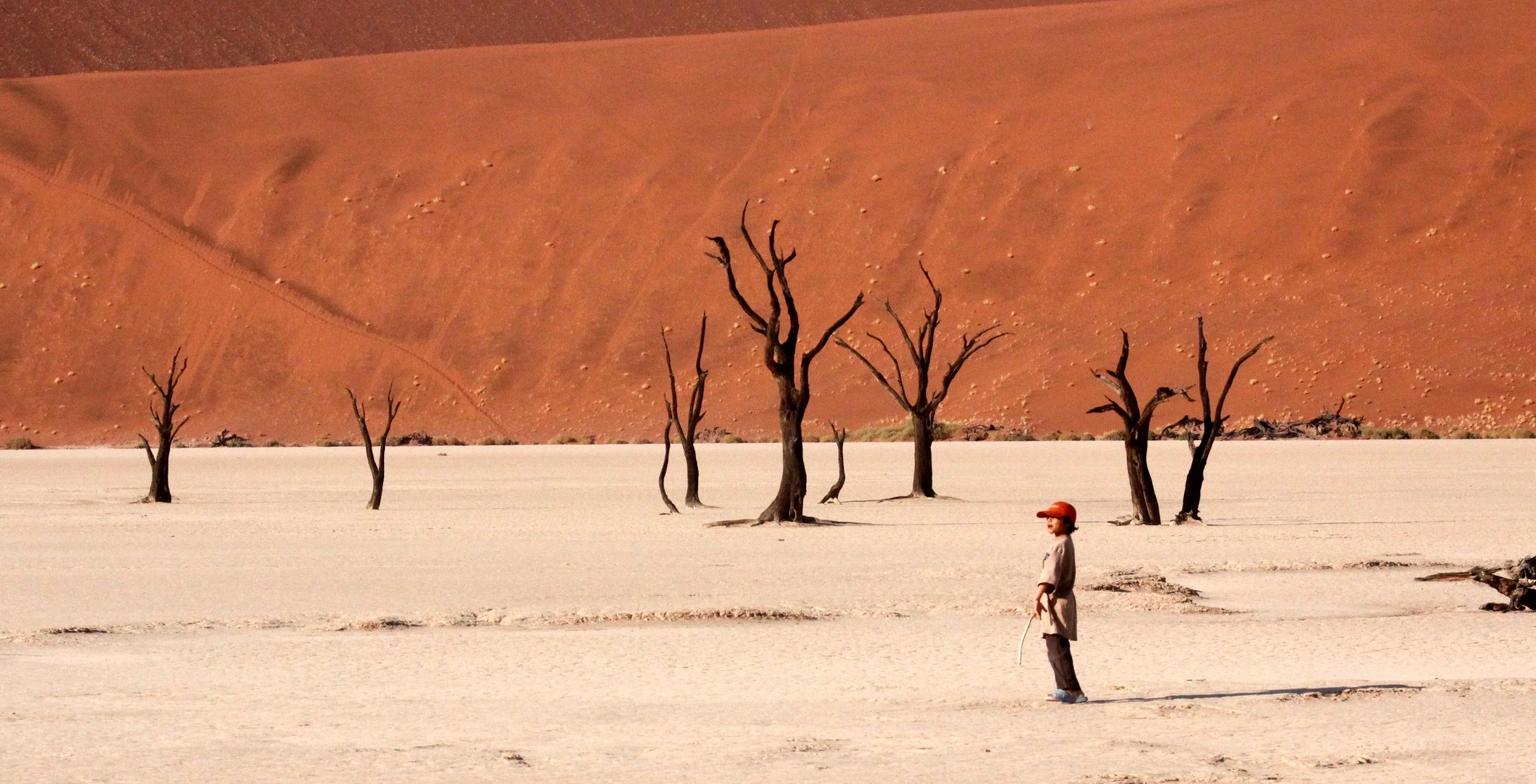 SOSSUSVLEI, NAMIB NAUKLUFT NATIONAL PARK, NAMIBIA - DEAD VLEI (27).JPG