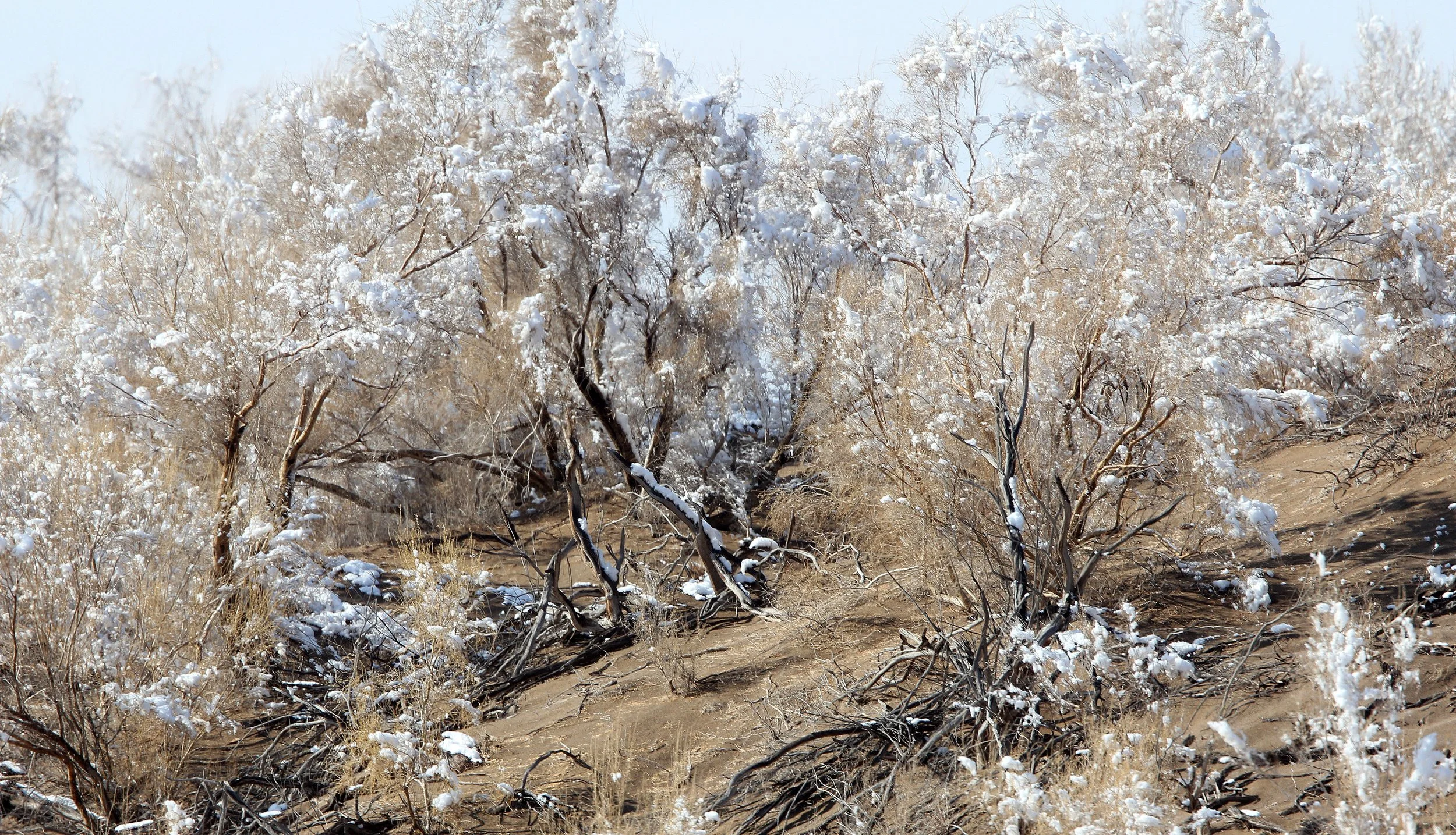 KARAMORI NATIONAL NATURE RESERVE - XINJIANG CHINA (53).JPG