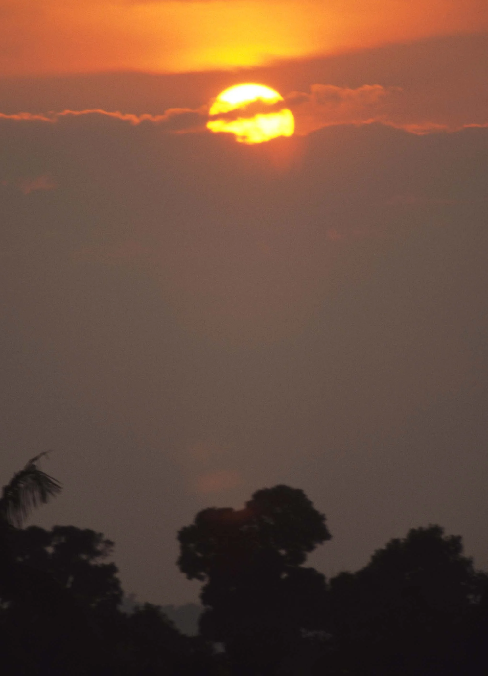 SERENGETI SUNSET 4.jpg