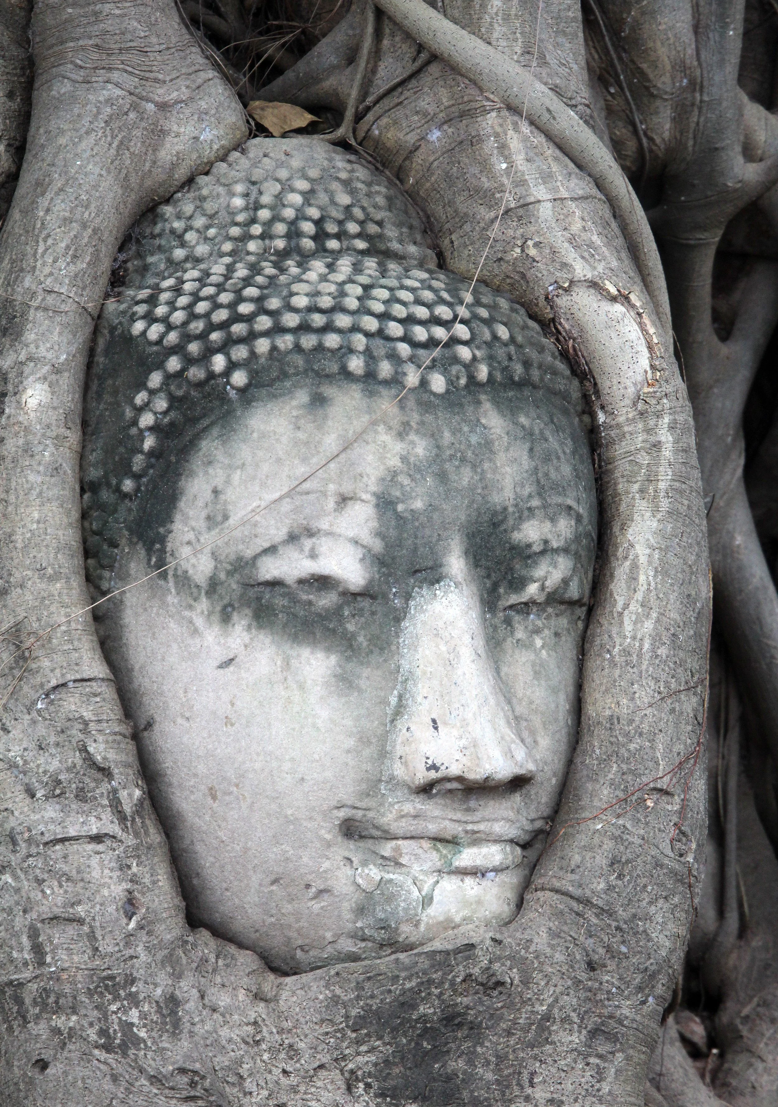 AYUTTHAYA PASSION DAY NOVEMBER 2013 (76).JPG