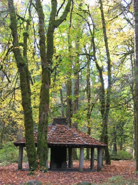 2005-10-22 TREK IN TO OLYMPIC RAINFOREST IN FALL (5).JPG