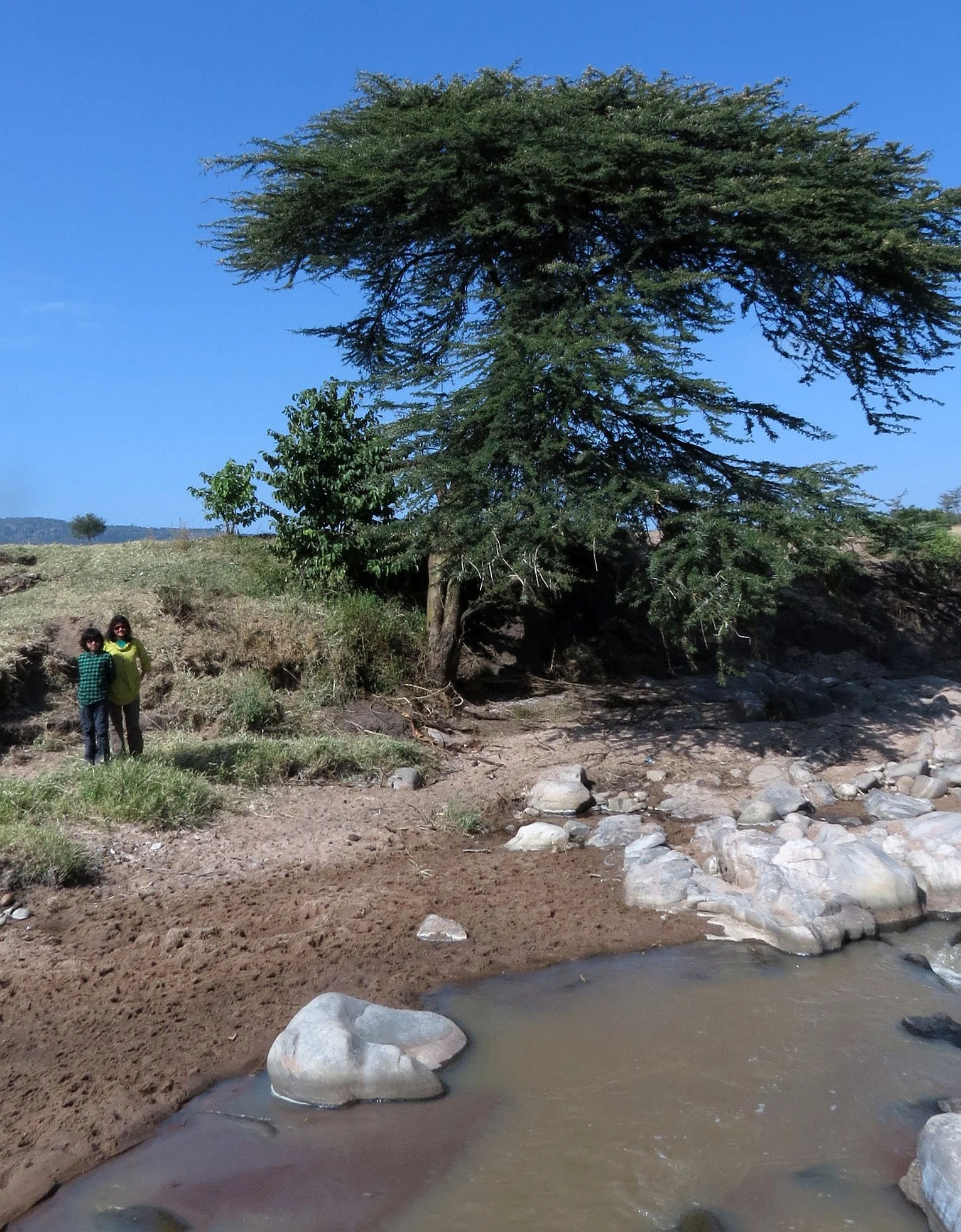 MASAI MARA NATIONAL PARK UGANDA (5).JPG