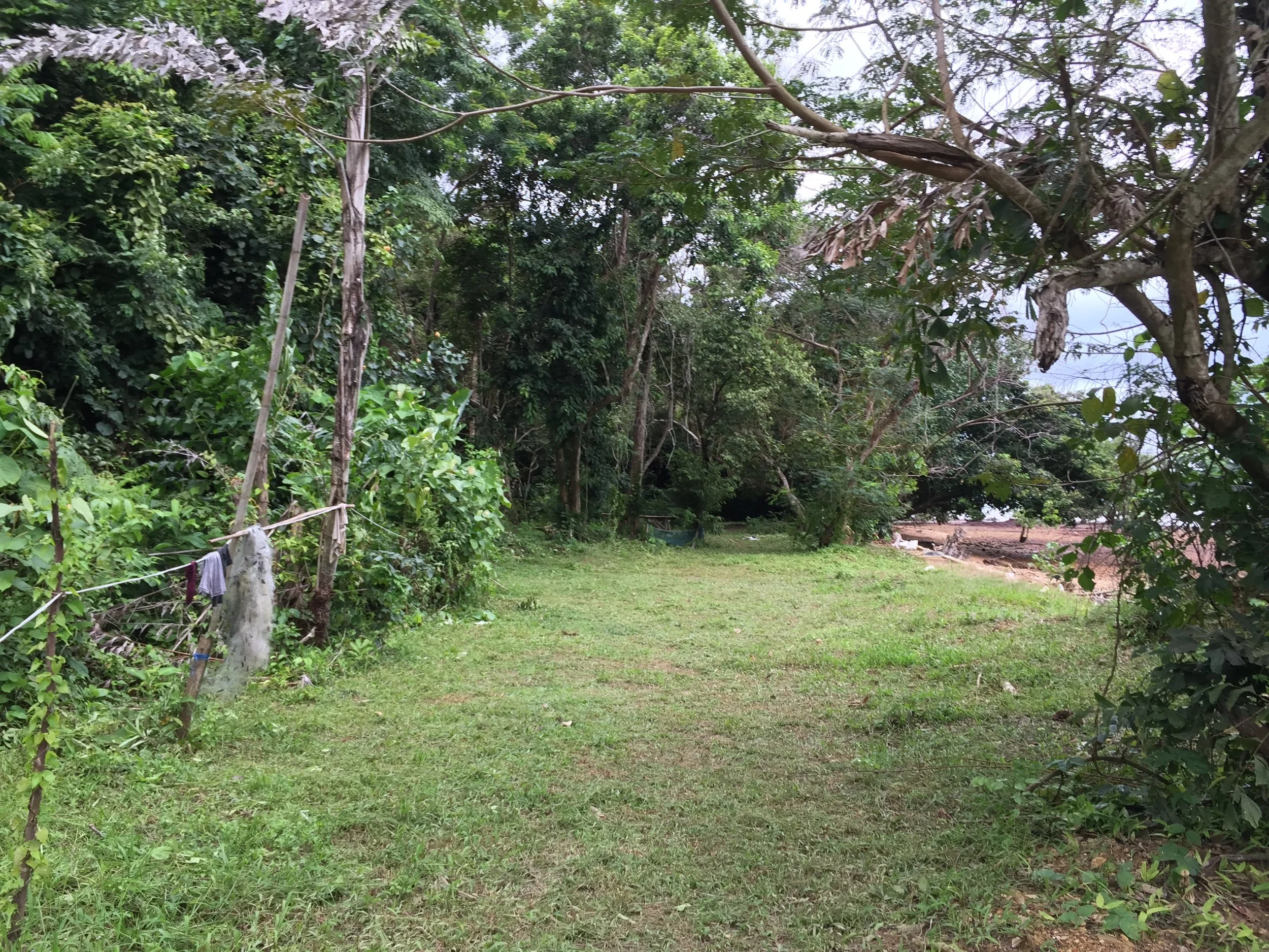 2015 Koh Lanta Garden & Nature (196).JPG