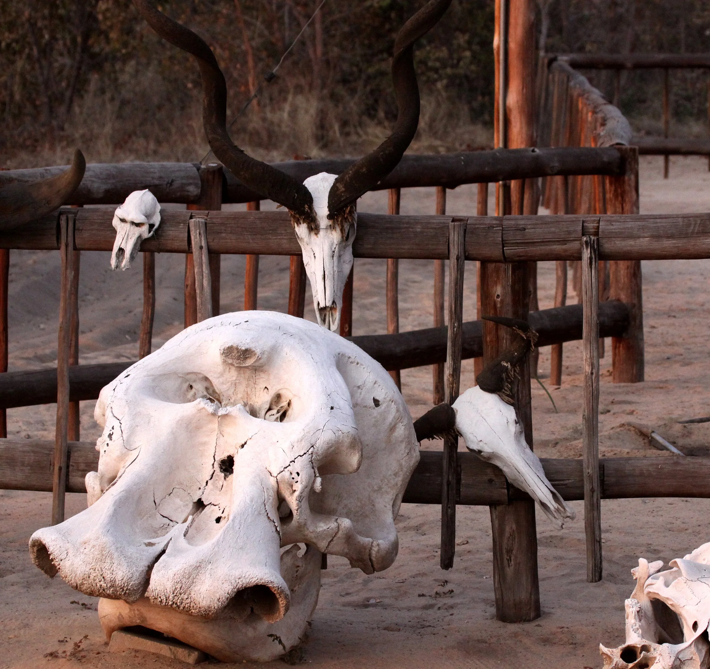 BWABWATA NATIONAL PARK NAMIBIA - PARK HEADQUARTERS.JPG