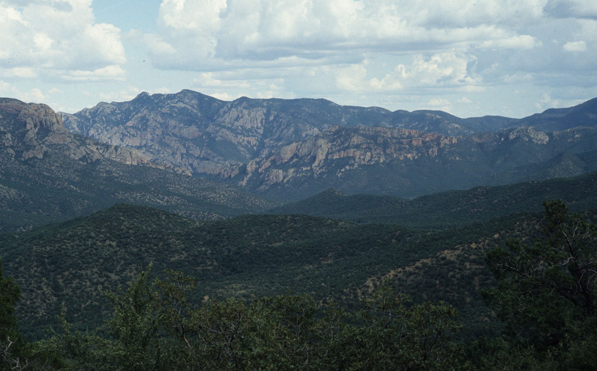 ARIZONA - CHIRACAHUAS NM.jpg