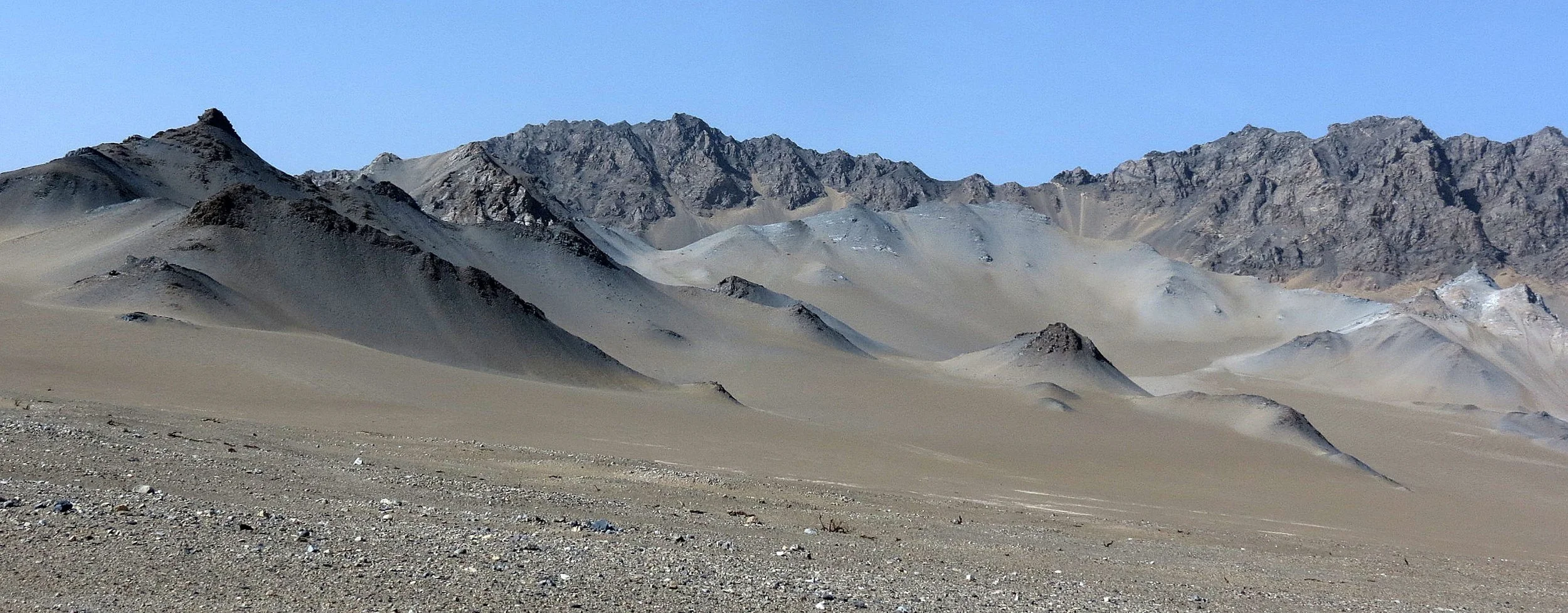 LOP NUR WILD BACTRIAN CAMEL RESERVE - XINJIANG CHINA (22).JPG
