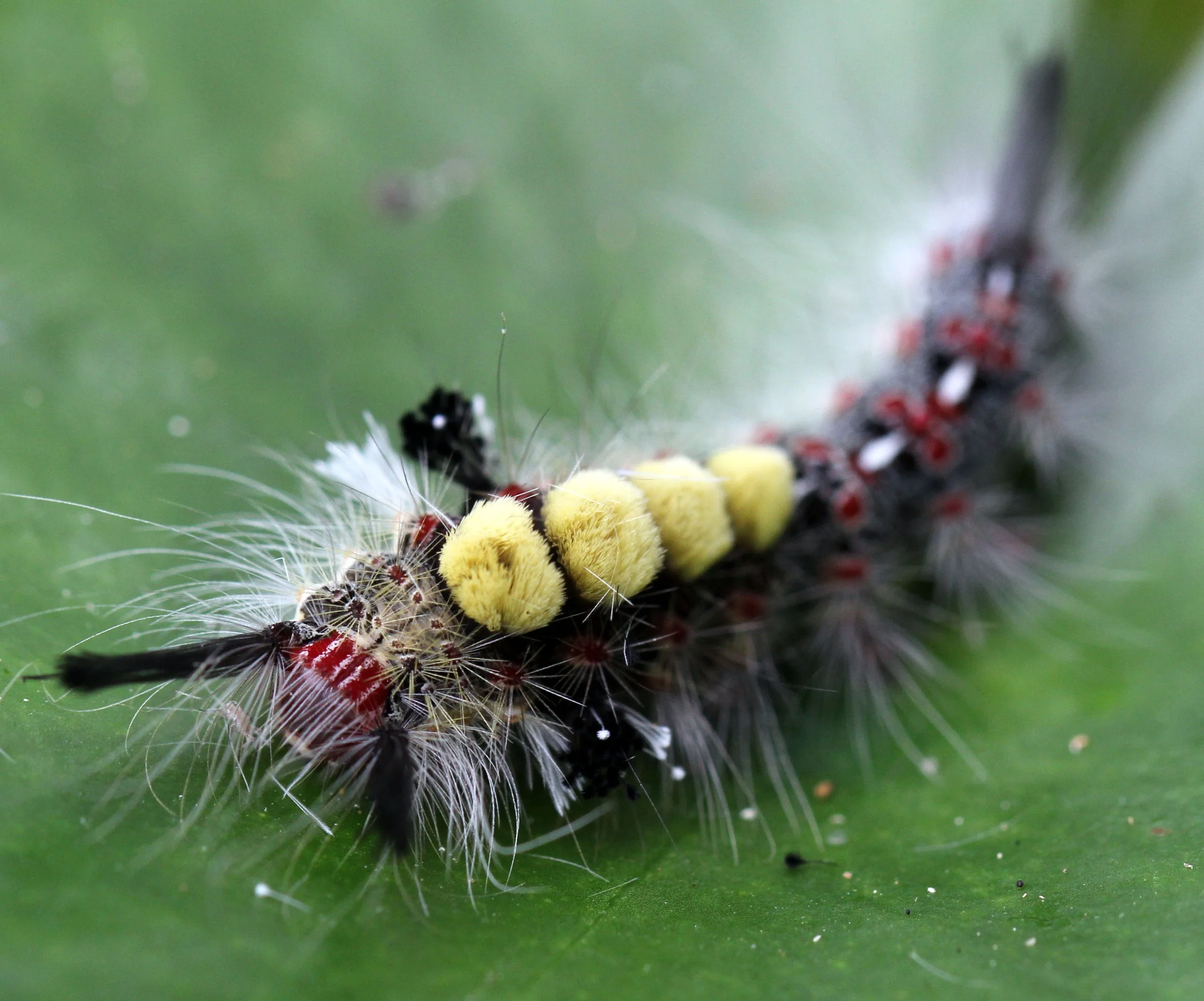 2013 Cha'am and Petchaburi with Family & Friends (21).JPG