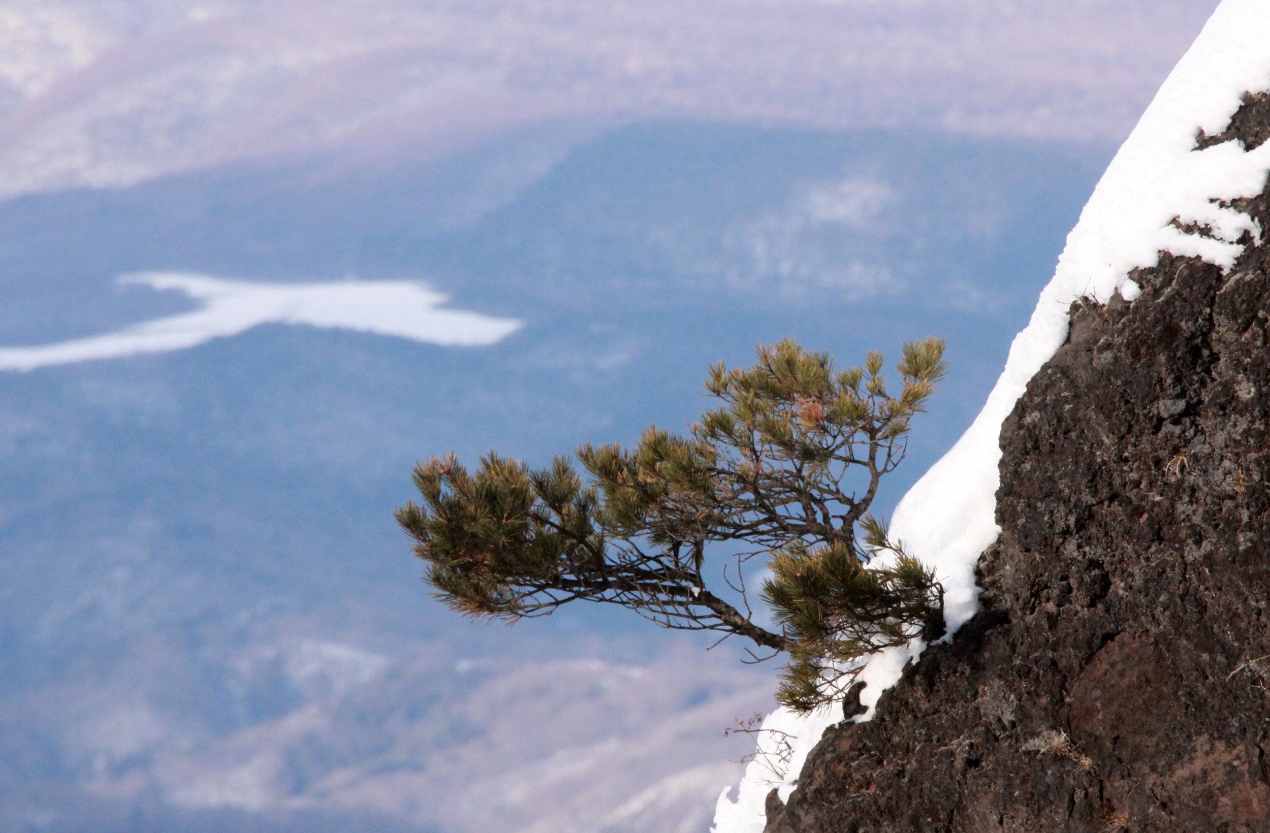 MOUNT ASAMA - JOSHIN'ETSUKOGEN NATIONAL PARK JAPAN (115).JPG