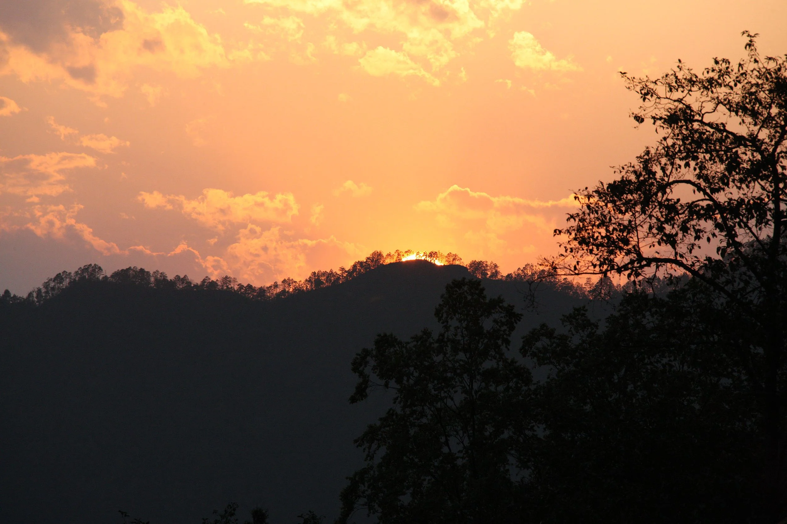 YUNNAN - WULIANGSHAN NATURE RESERVE AND SURROUNDING REGION (63).JPG