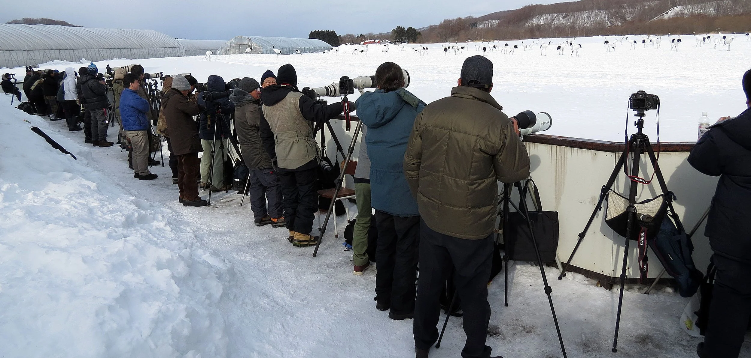 AKAN INTERNATIONAL CRANE RESERVE HOKKAIDO JAPAN (2).JPG