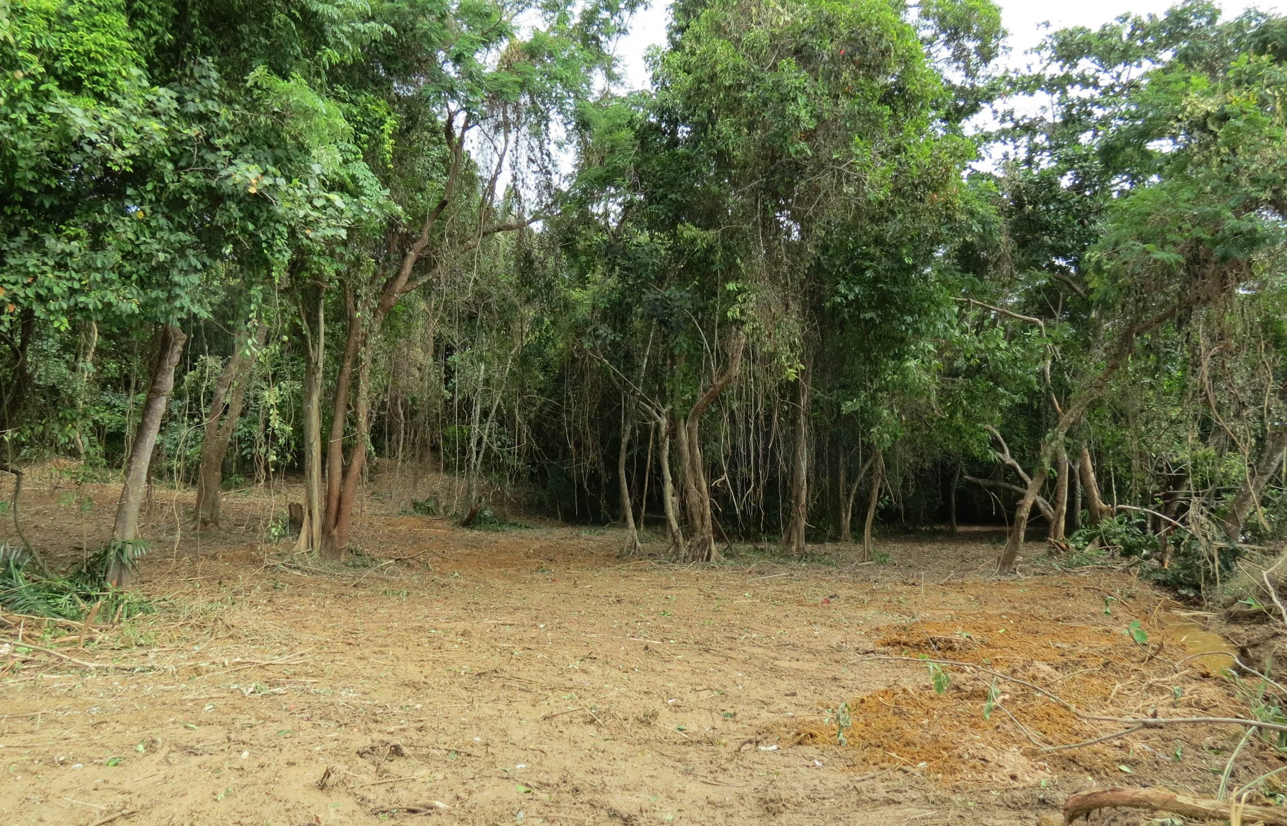 2014 Koh Lanta Build (31).JPG
