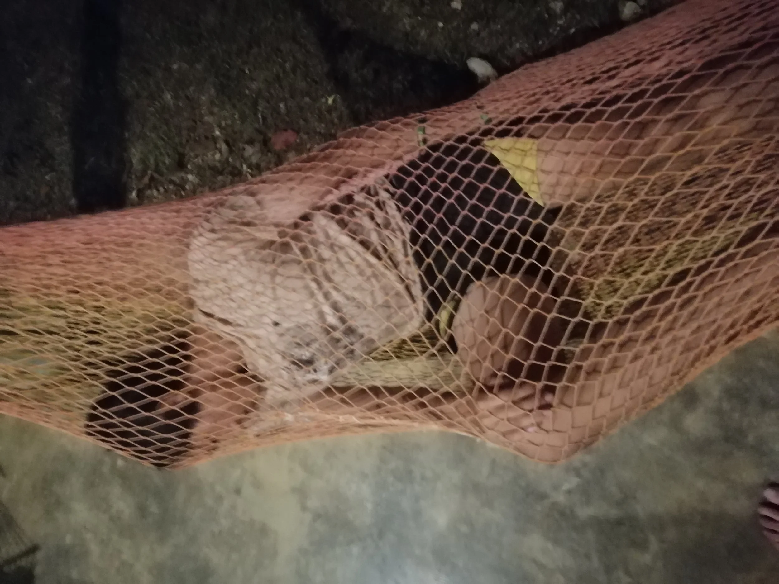 2019 Koh Lanta Summer Trip (93).jpg