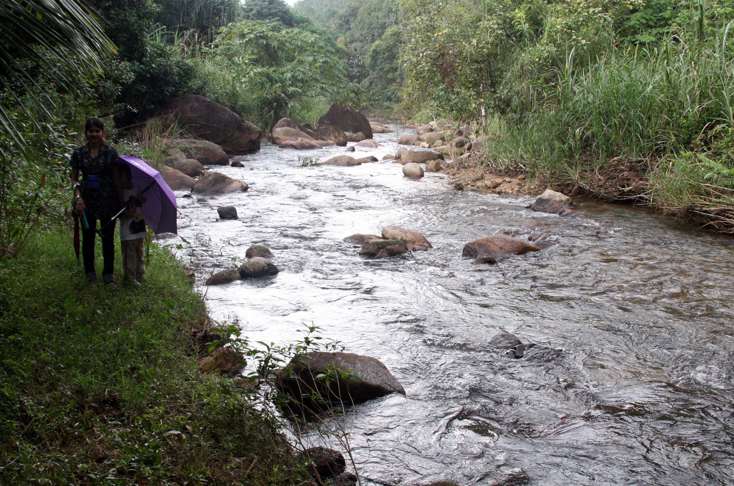 2009 Promluk Property Views (34).JPG