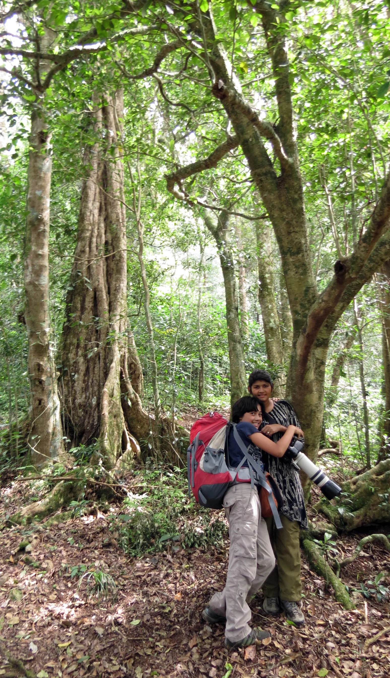 PAMPADUM SHOLA NATIONAL PARK INDIA - VATTAVADA (50).JPG
