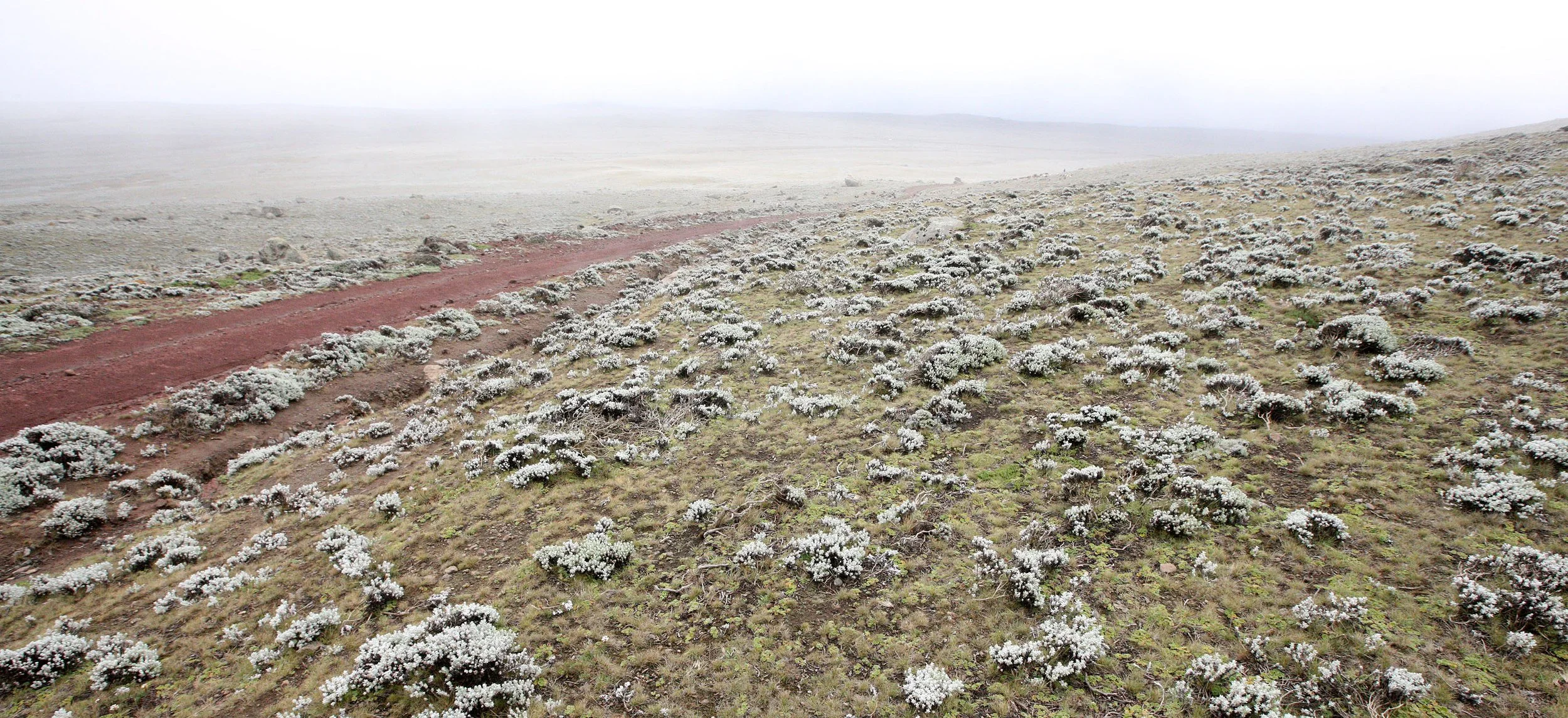 BALE MOUNTAINS NATIONAL PARK ETHIOPIA - SANETTI PLATEAU (3).JPG